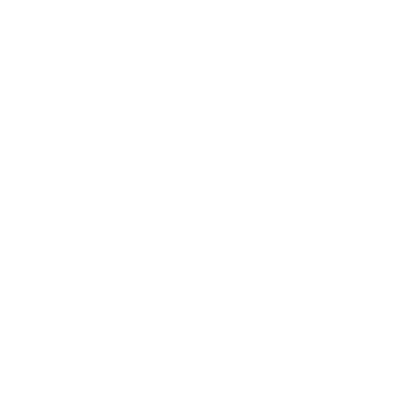 Logo blanc de la marque iRun