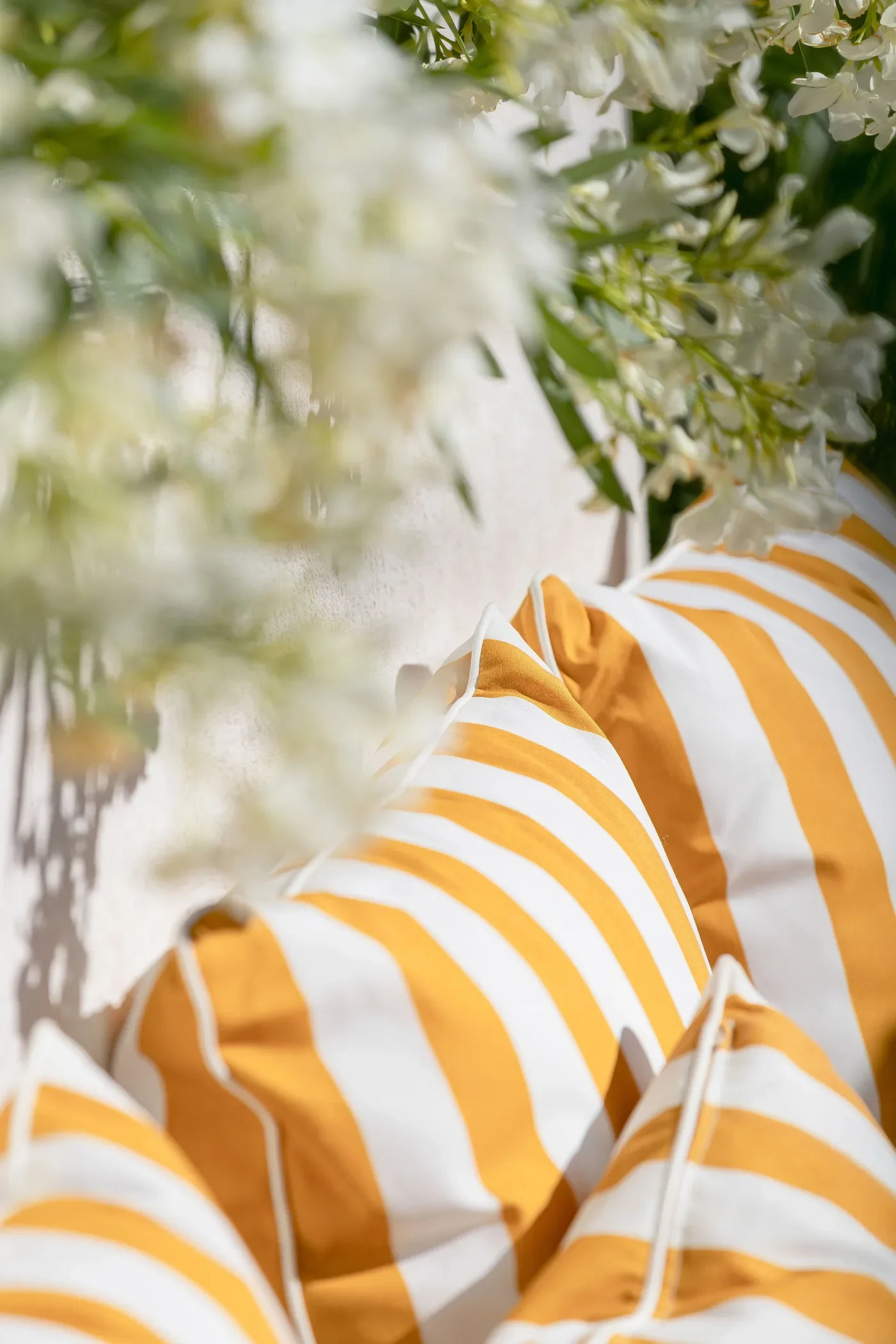 Le Collectionist_76.webp