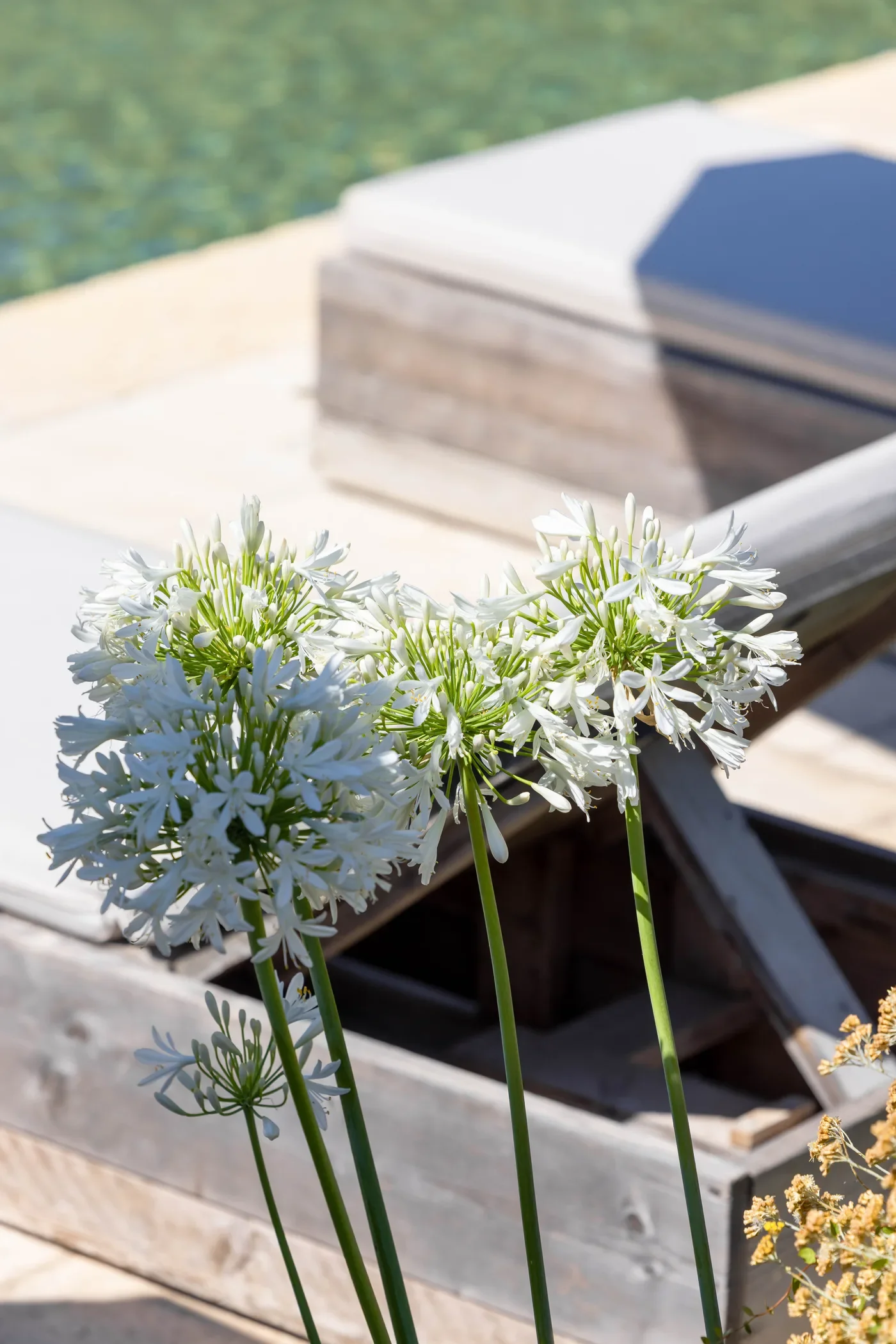 Le Collectionist_114.webp