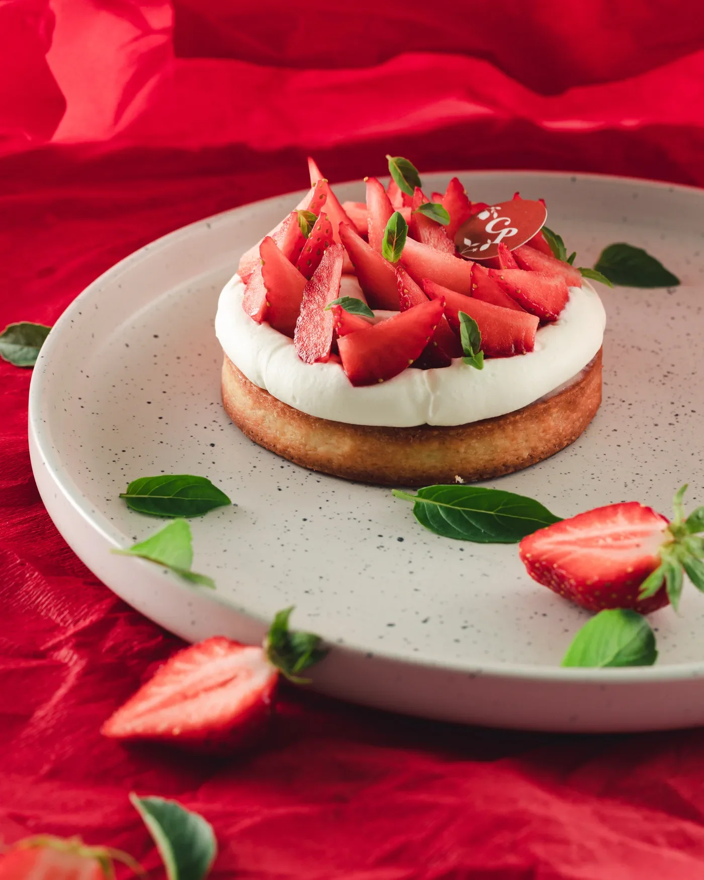 Camille Payan_3.webp