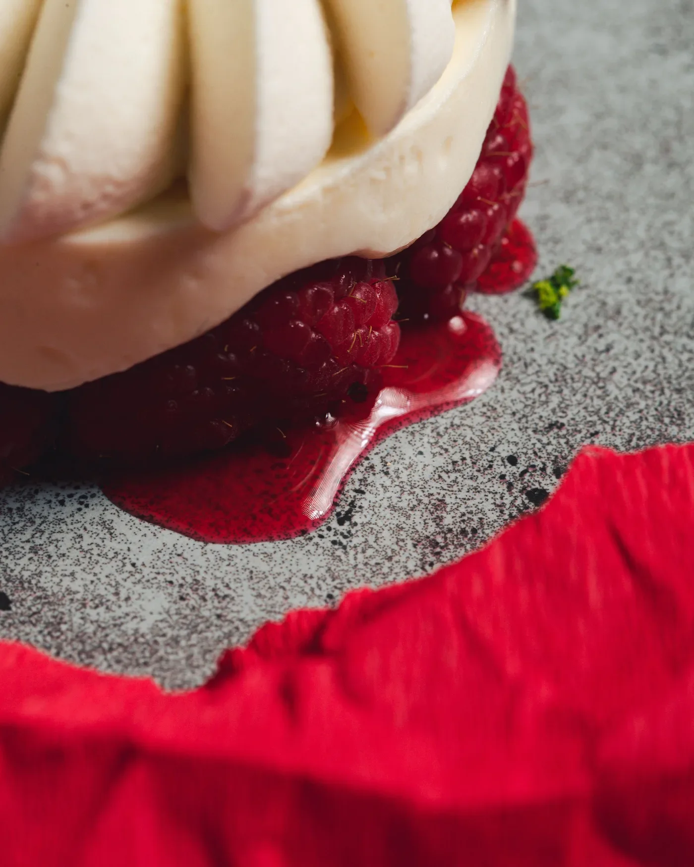 Camille Payan_8.webp