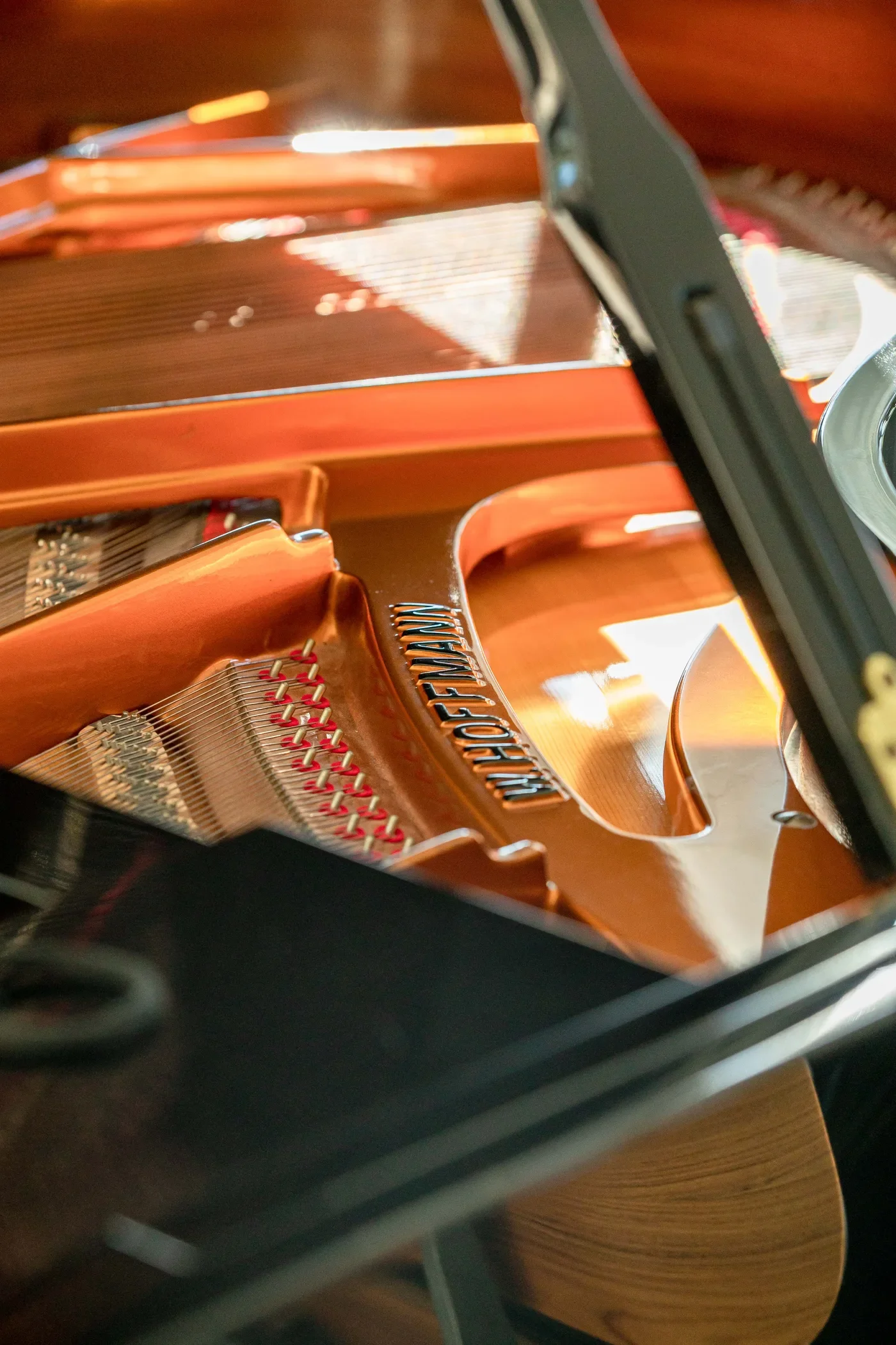 Le Collectionist_62.webp