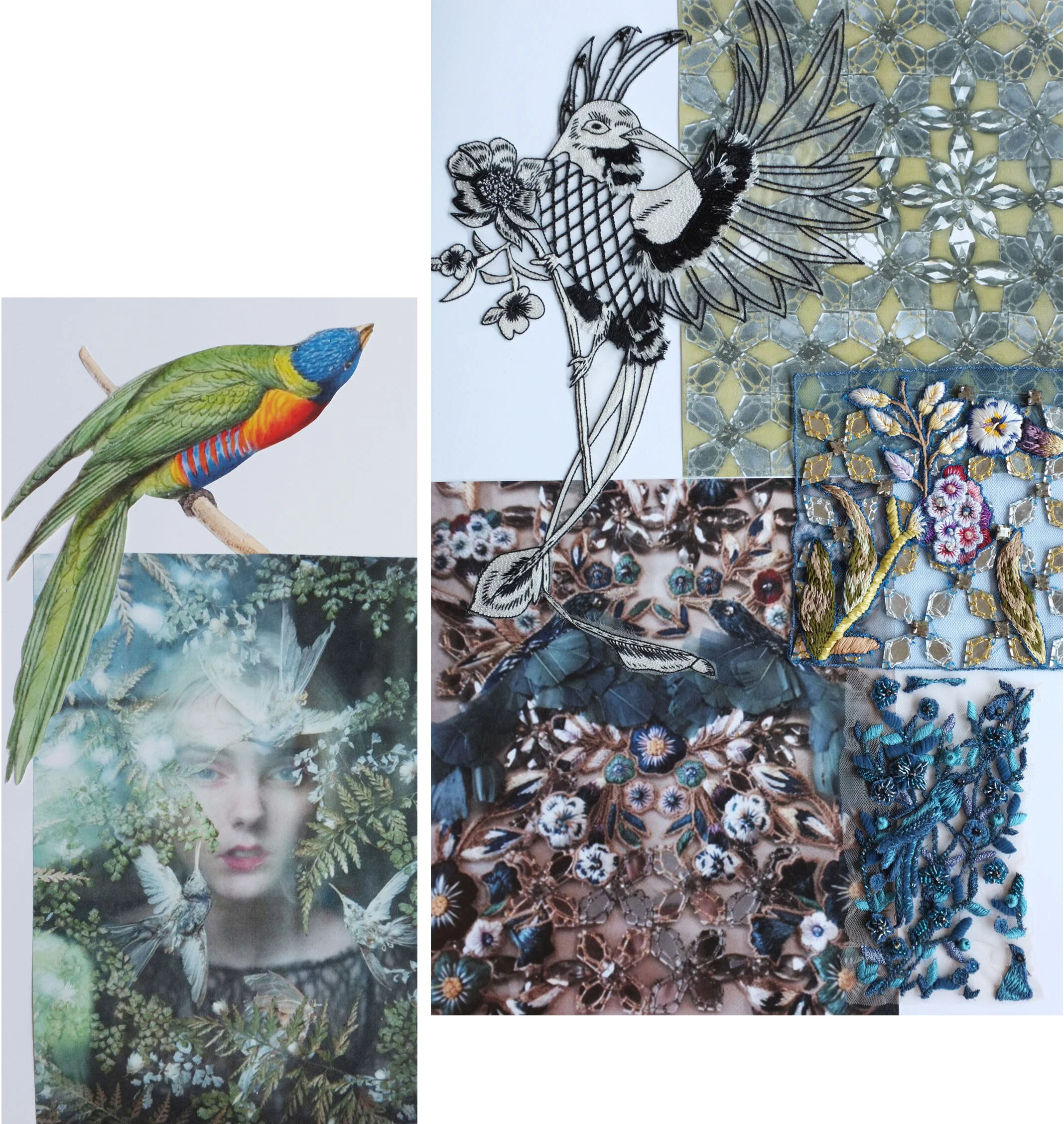 birds.jpg