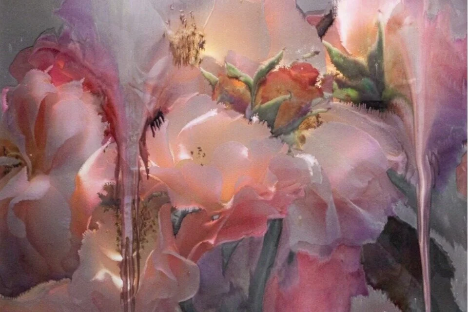 Marchesa Spring Summer 2015 / 2016