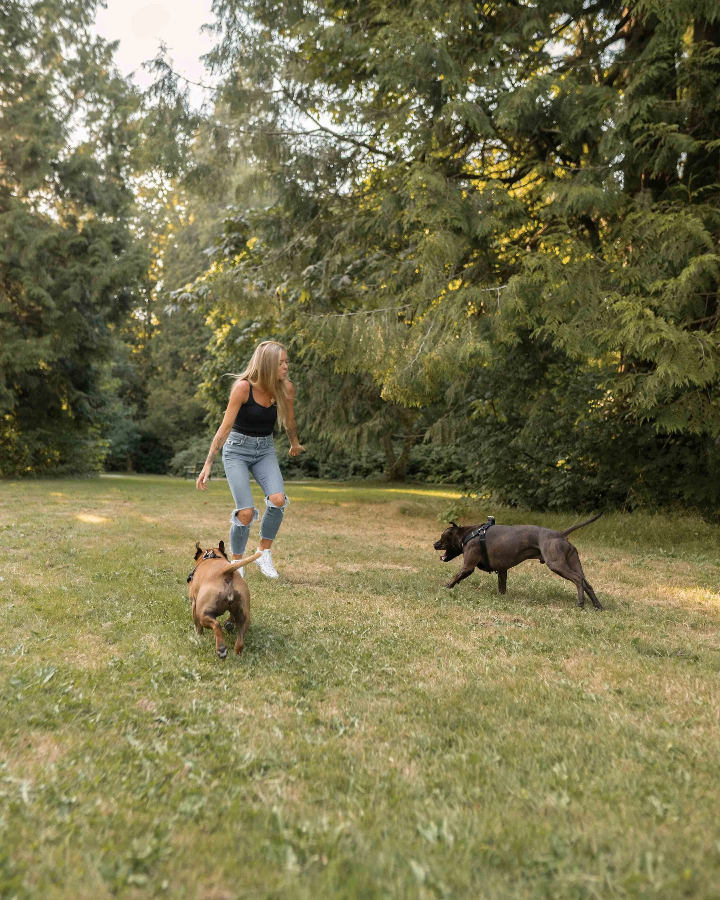 A woman with long blond hair wearing a black tank top and ripped jeans playing fetch with two dogs in a grassy park surrounded by trees.