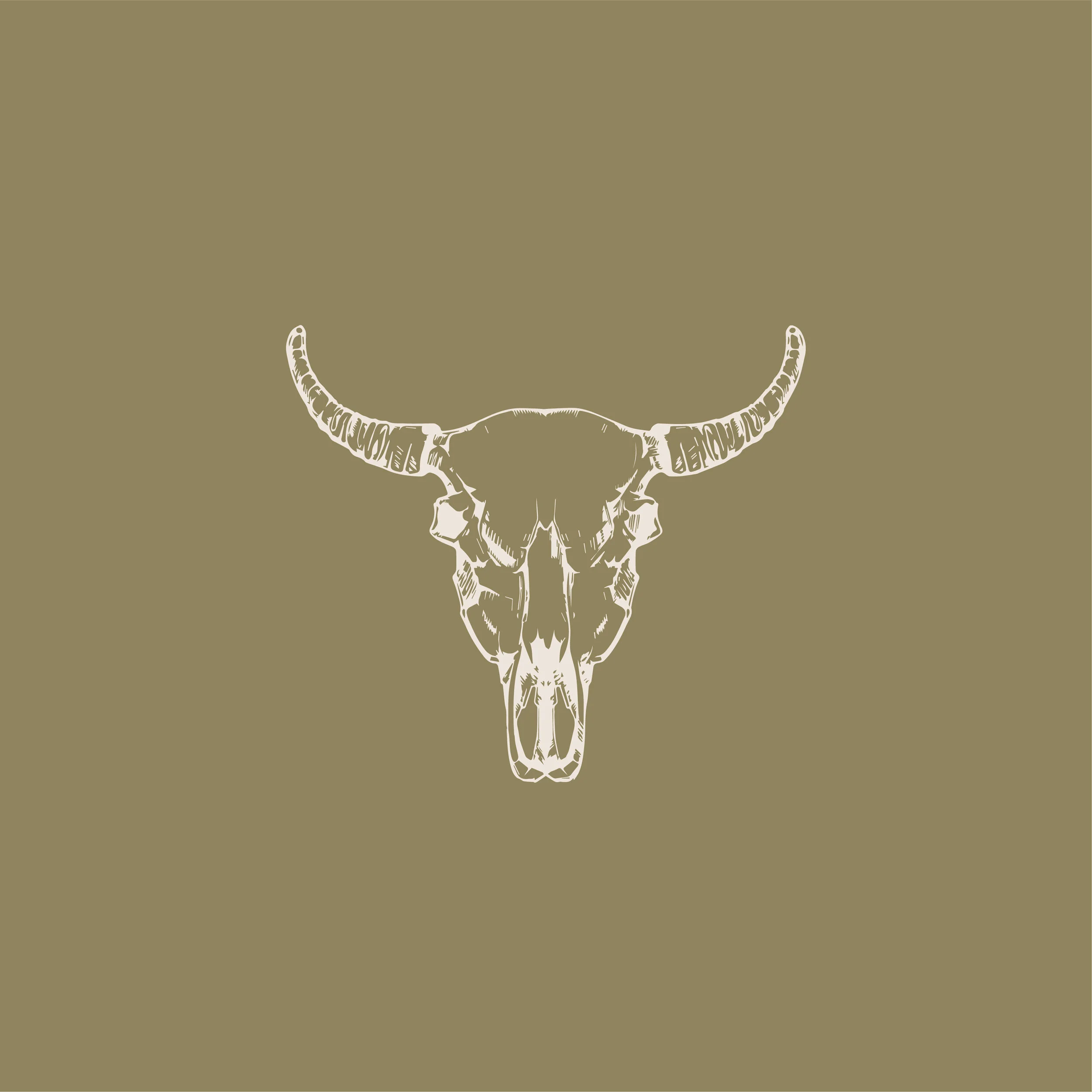 the-emily-johnson_cien-palmas-branding_custom illustration 01.jpg