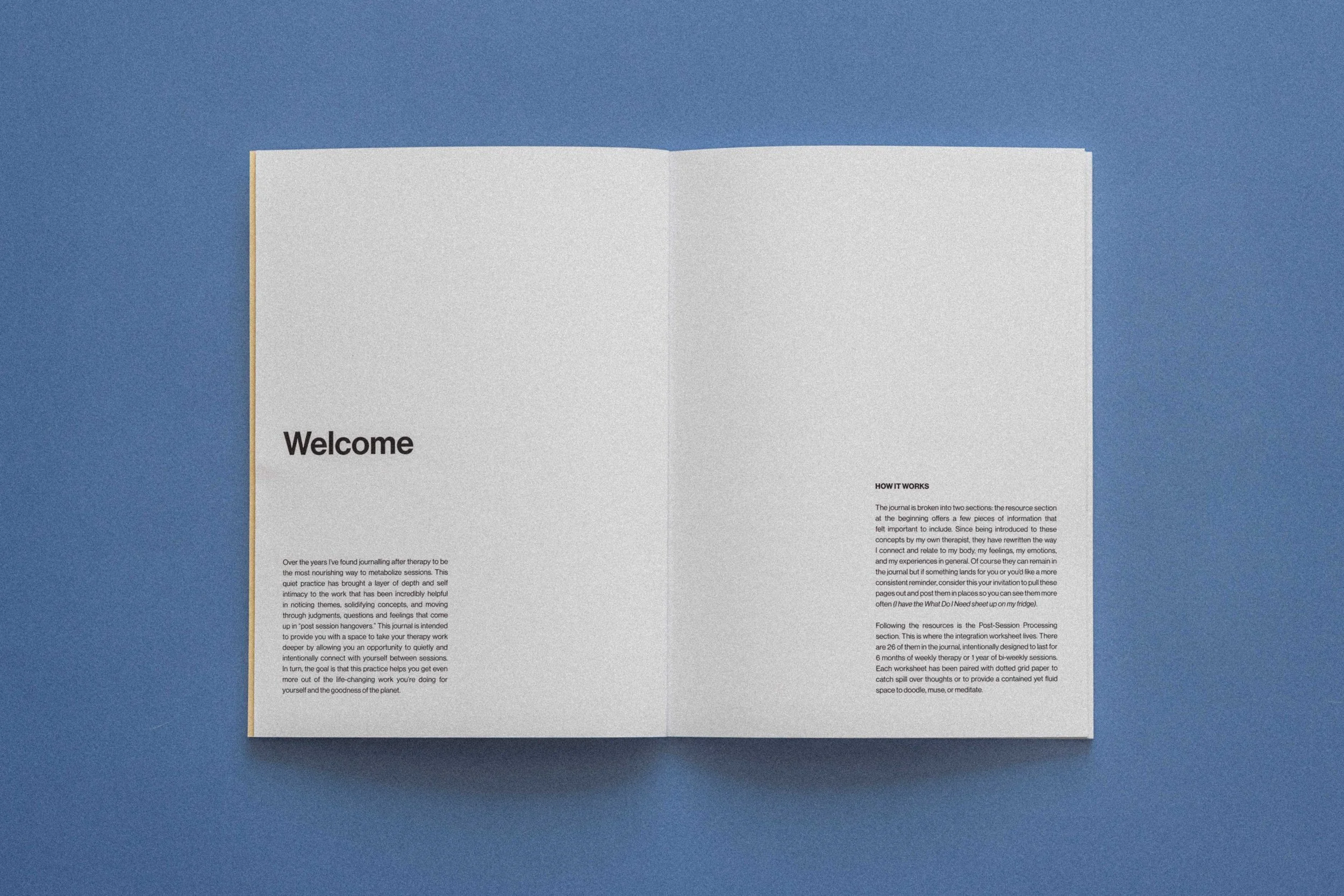 wildling studios_THE INTEGRATION JOURNAL-5.jpg