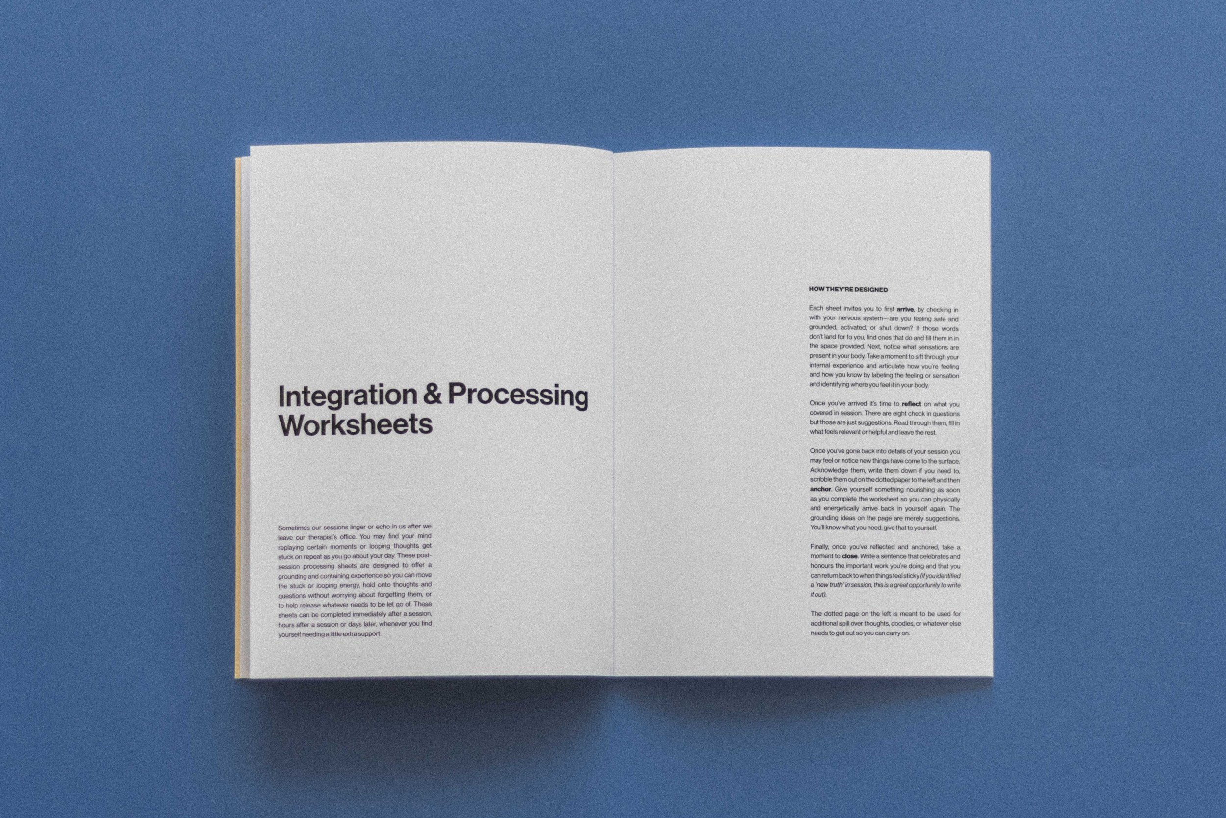 wildling studios_THE INTEGRATION JOURNAL-2.jpg