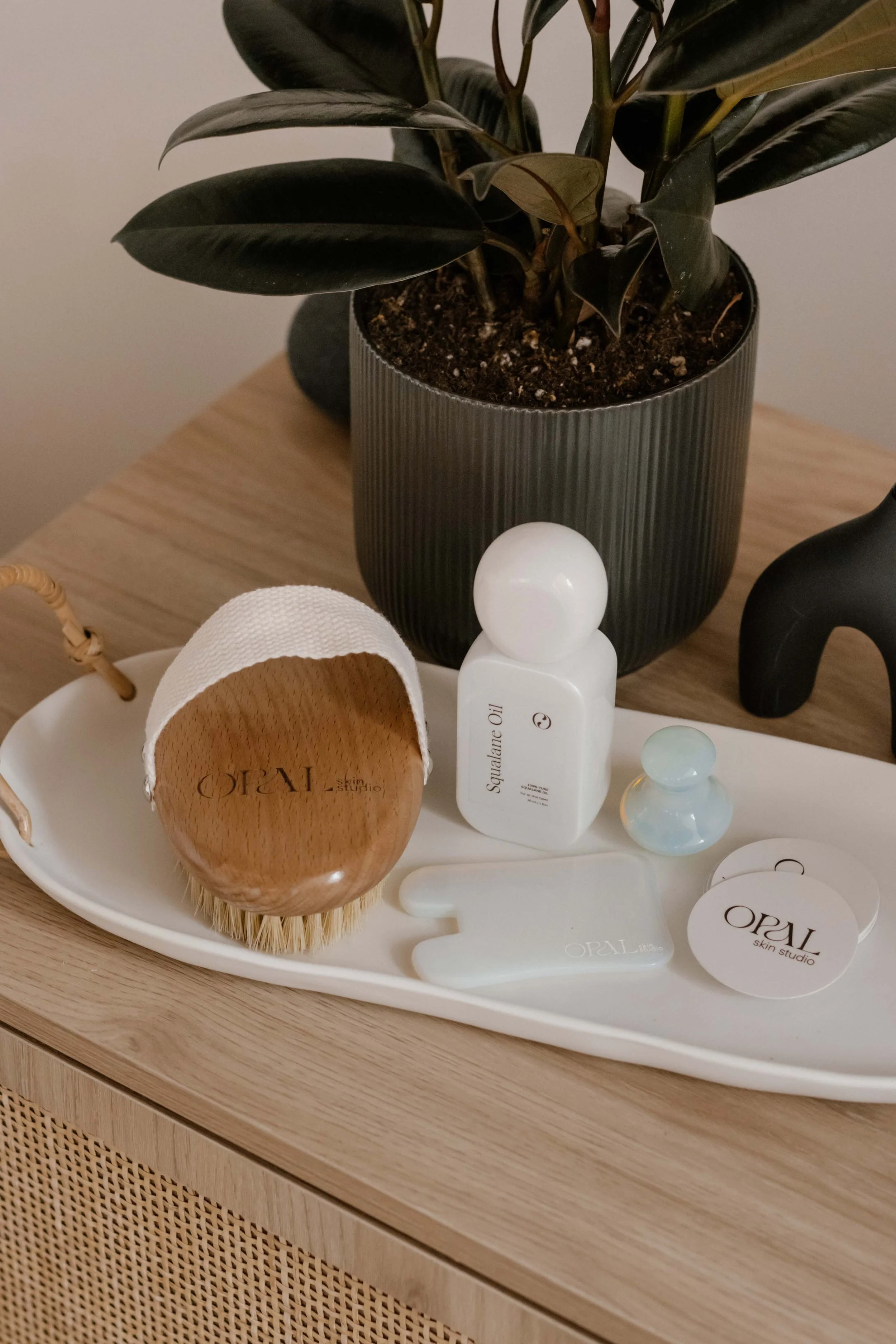 Wildling Studios_Opal Skin Studio_Interiors-24.jpg