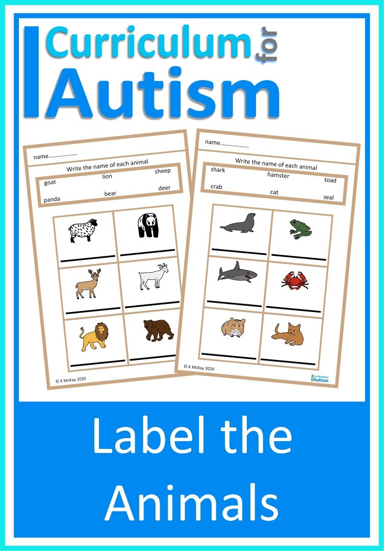 Read & Write Animal Sight Words Autism Special Education Resource Classroom  Homeschool Voacbulary — Curriculum For Autism