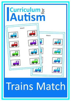 Non Identical Picture Matching Cards Autism Special Education Class ...