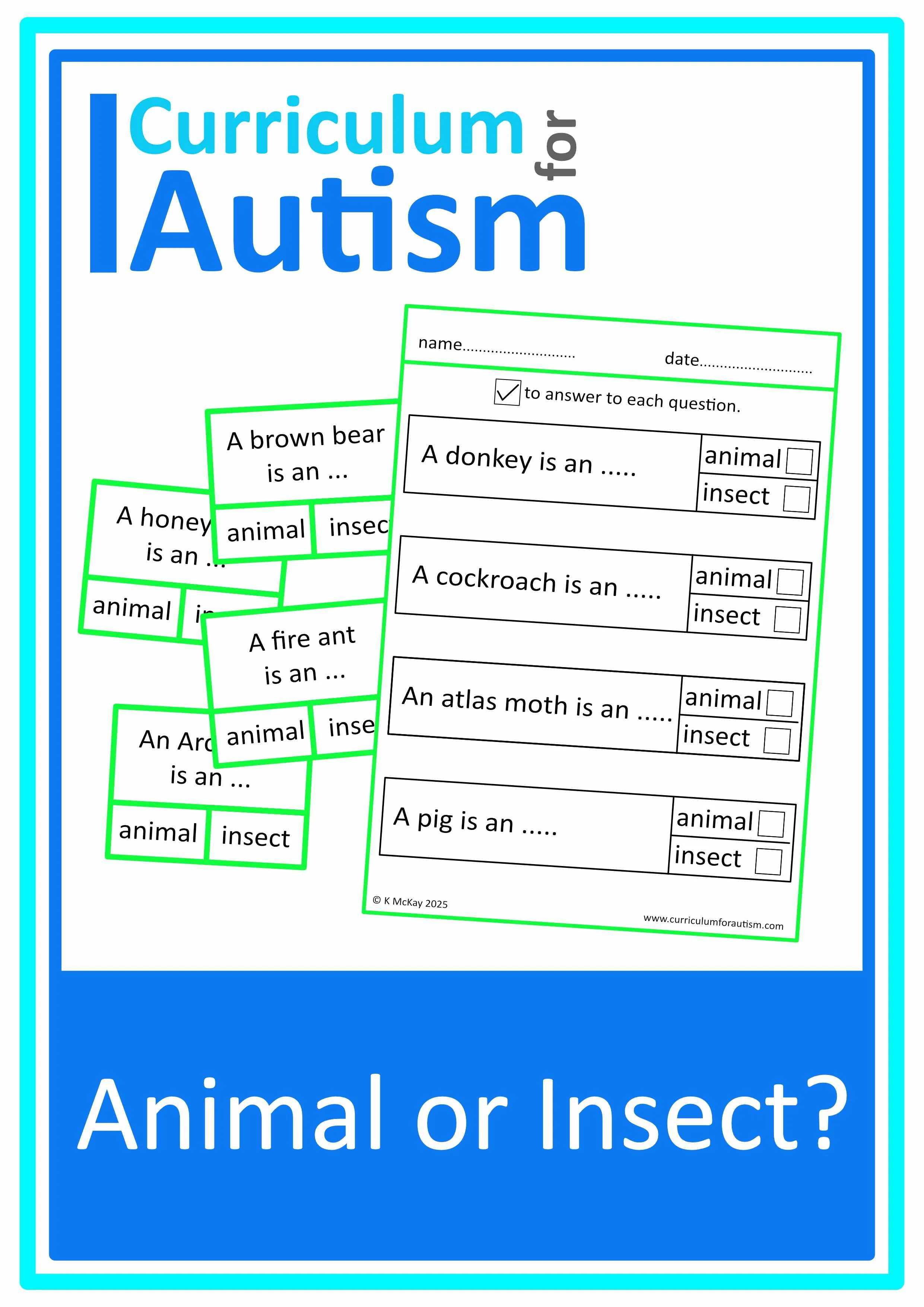 Individualized Education Plan Template PDF