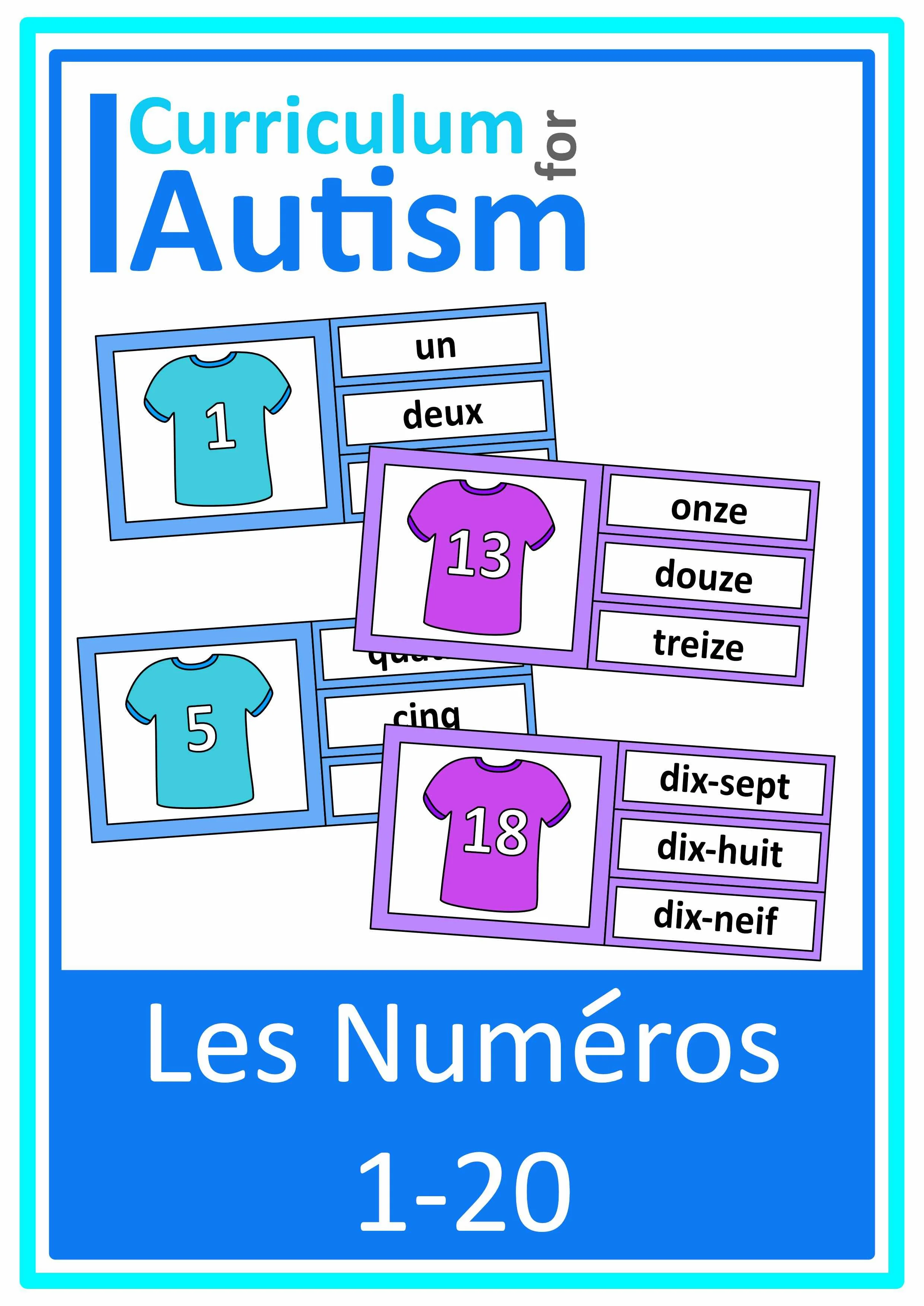 Adapted Math Curriculum for Special Learners PDF