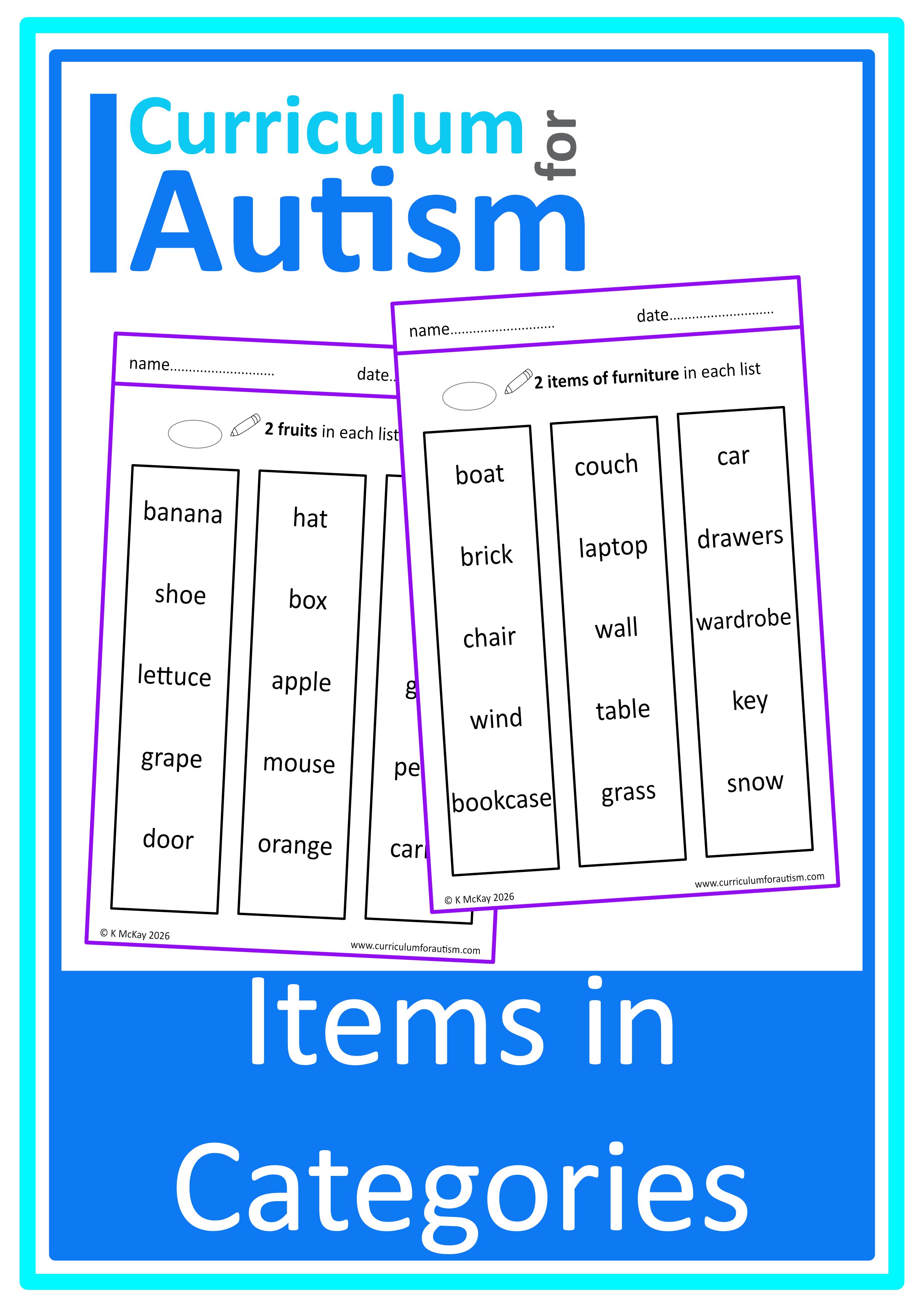 Identifying Items in Categories Worksheets - Autism Vocabulary