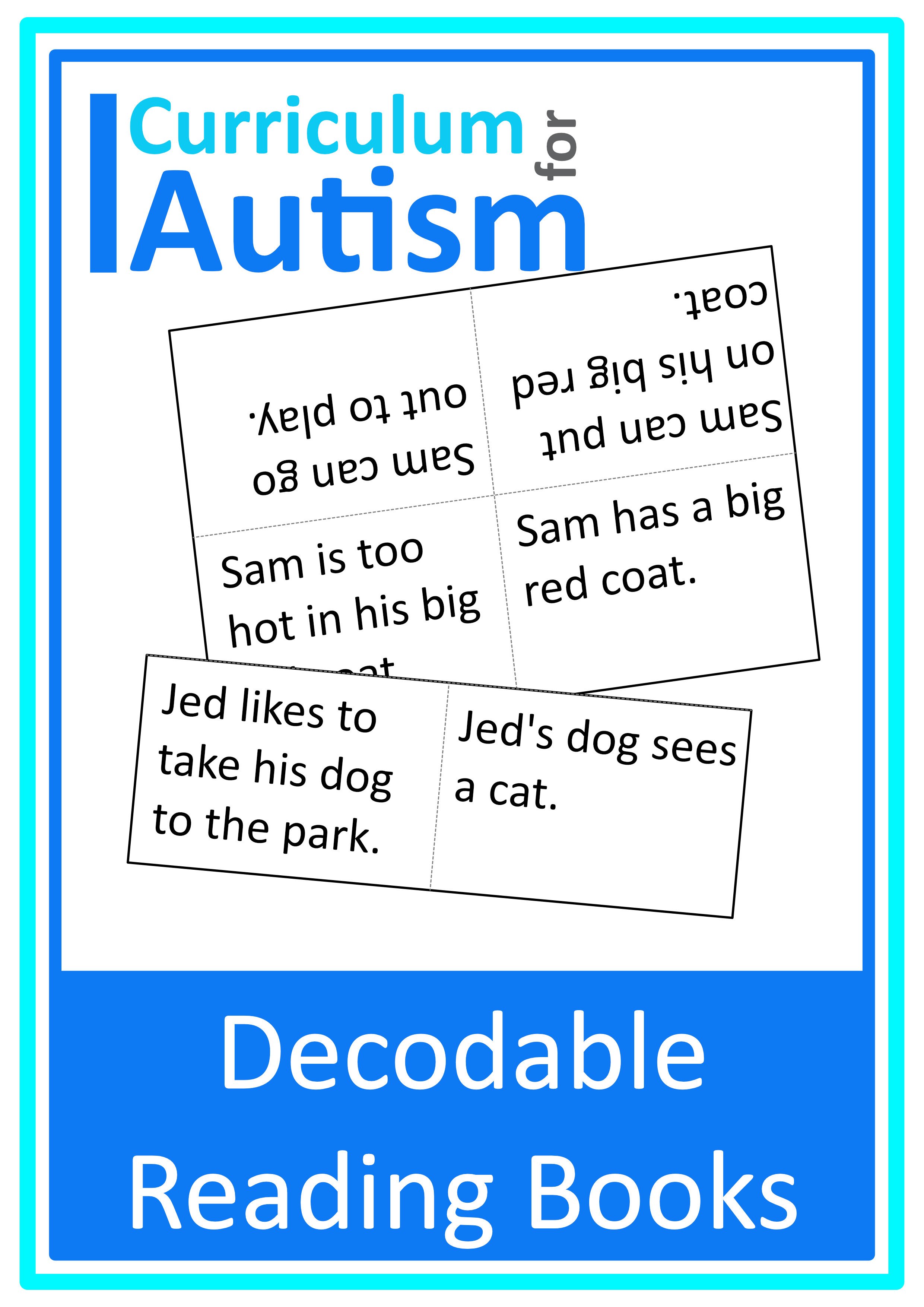 decodable mini books cover.jpg
