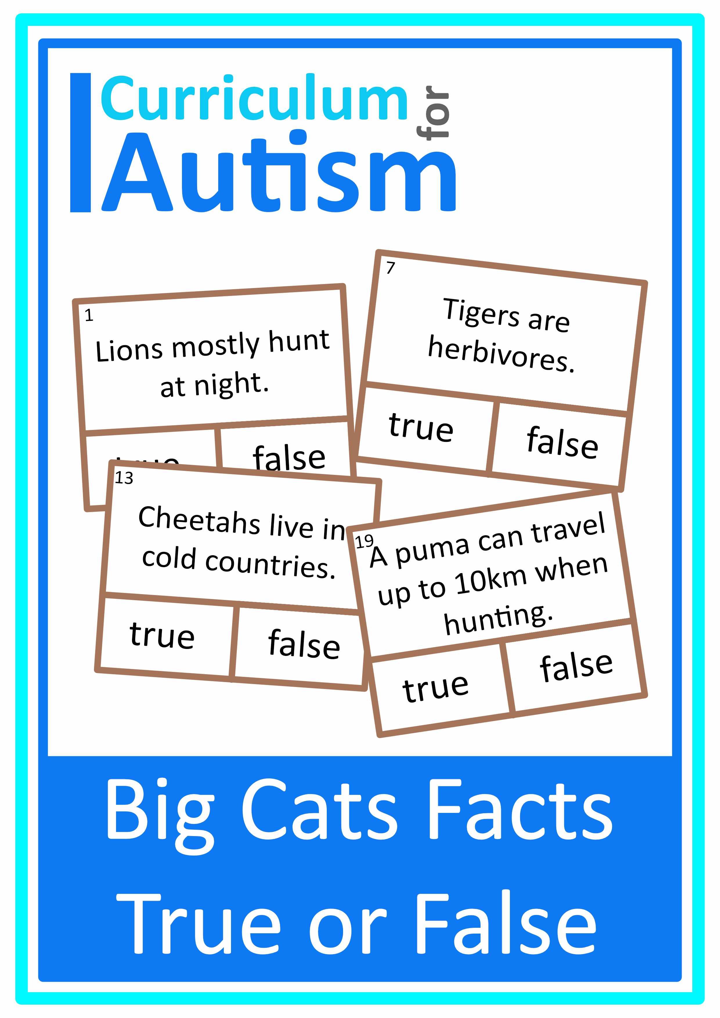 big cats true false cards cover.jpg