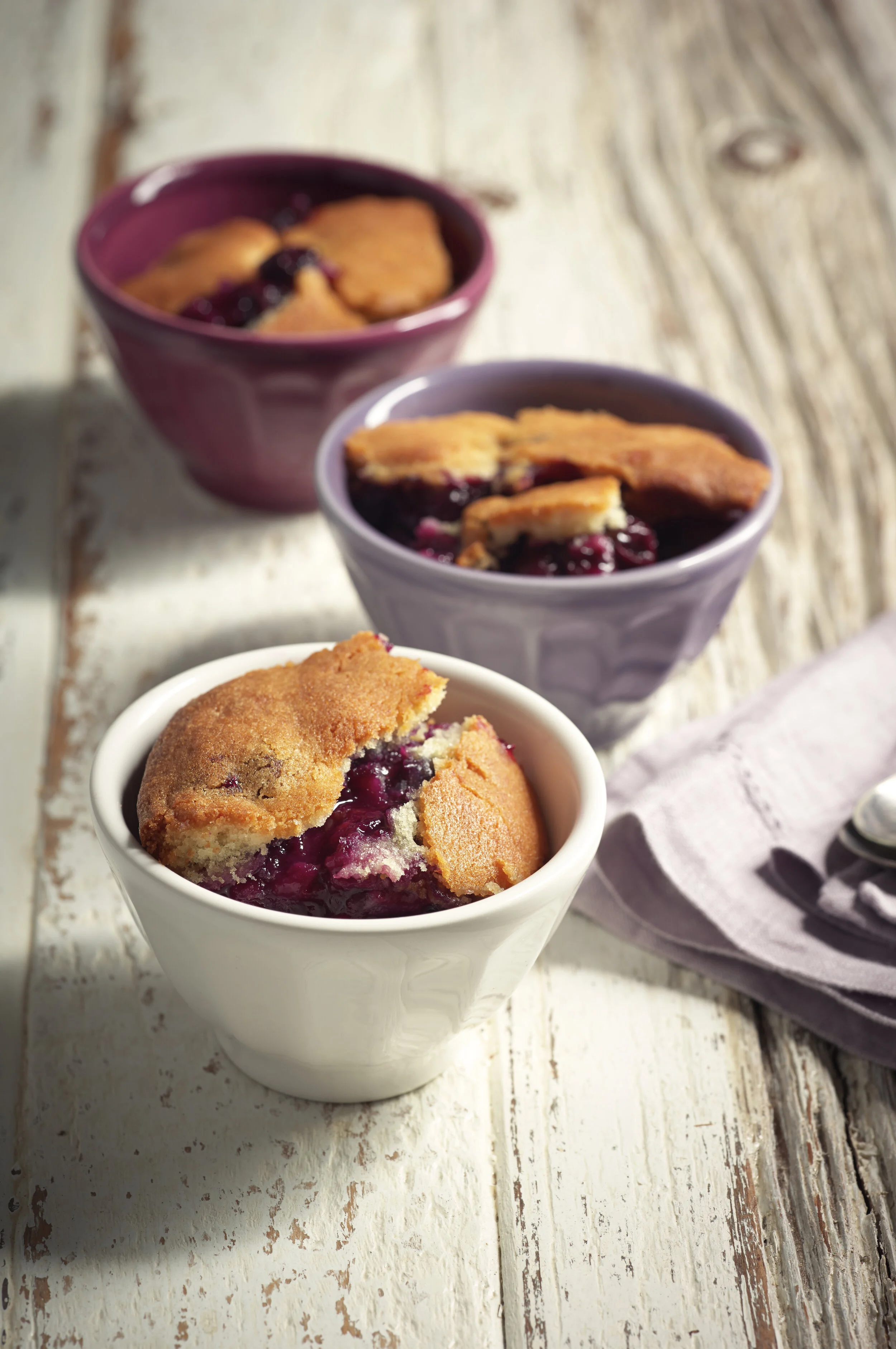 Blueberry_Buckle_00728.jpg