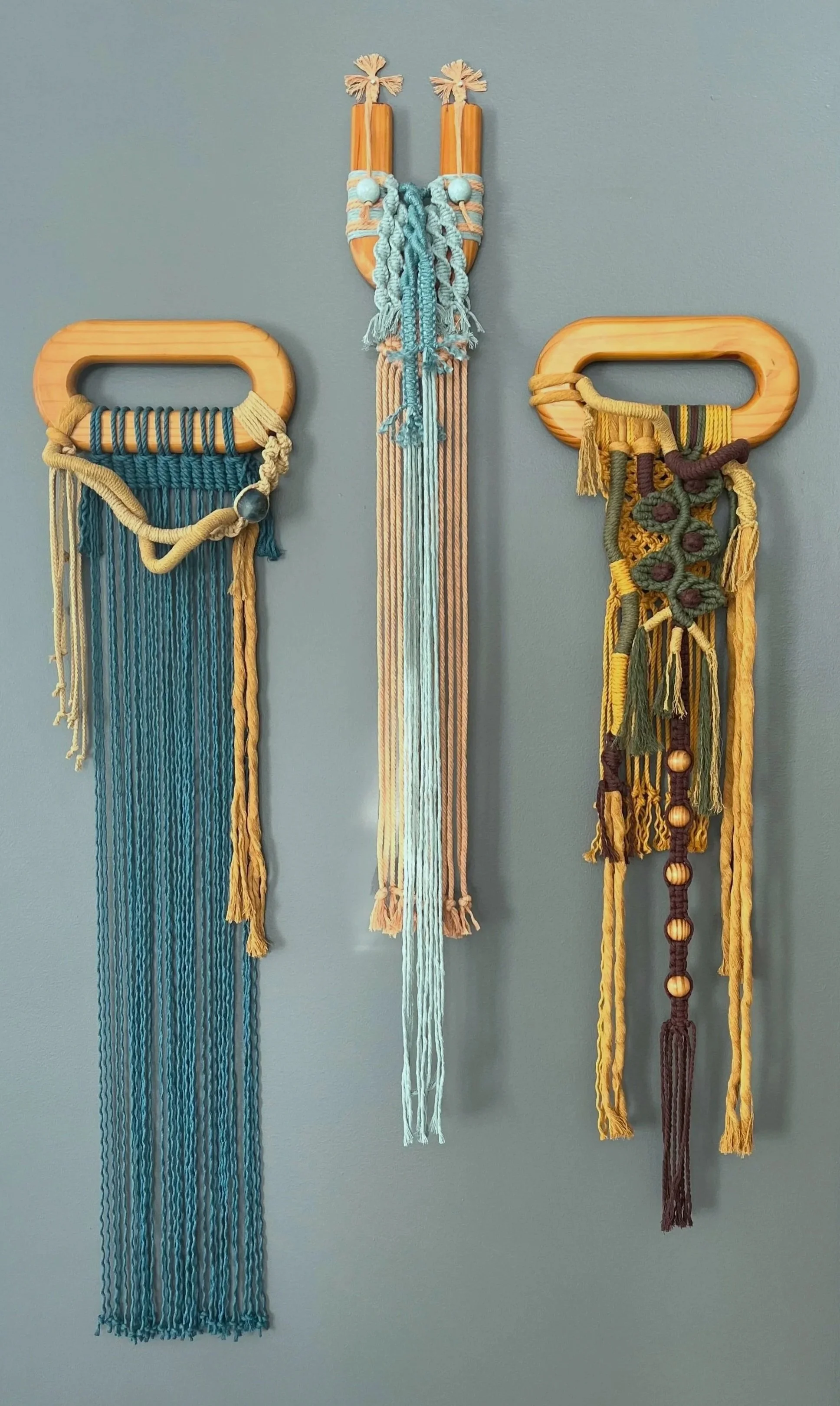 conservation collection