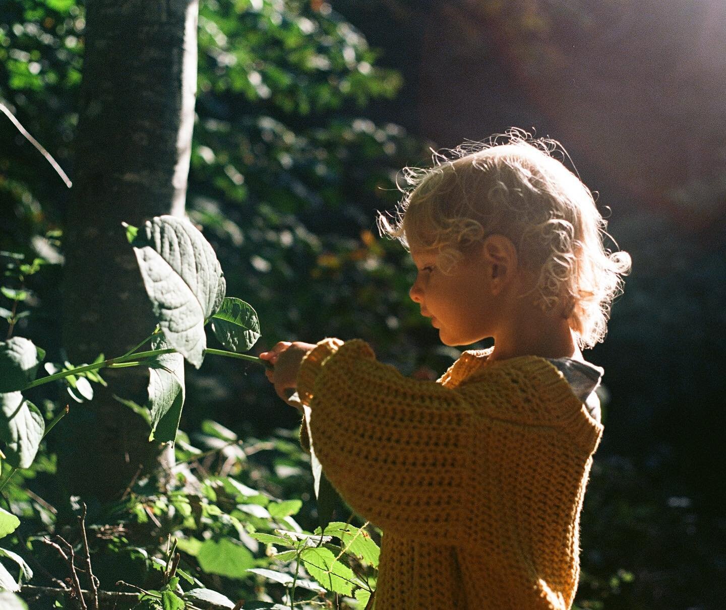 Teach the children. We don't matter so much, but the children do. Show them daisies and the pale hepatica. Teach them the taste of sassafras and wintergreen. The lives of the blue sailors, mallow, sunbursts, the moccasin flowers. And the frisky ones 