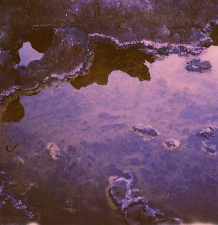 Water will show you what freedom is.  Try to destroy it and it changes form but retains its essence. Swallow it and you become it. Bottle it and it maintains its grace. Pollute it and it remains open to being cleansed. Feed it to living things and th