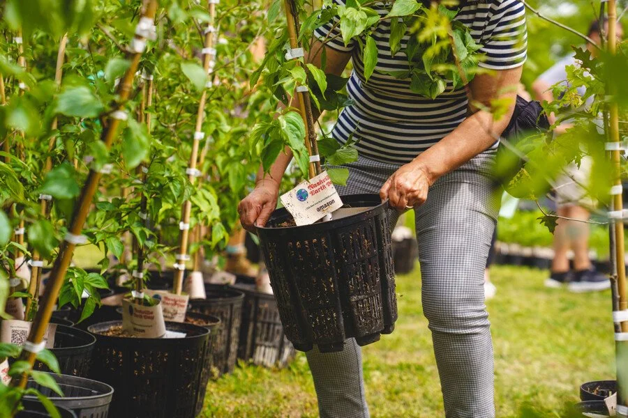 Earth Day at Centennial Park 2025 - @VonRphoto-58.jpg