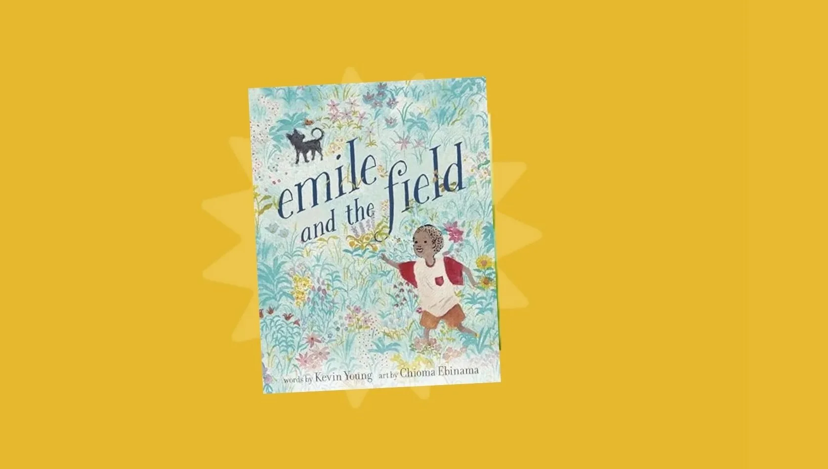 Book cover titled 'emile and the field' with an illustration of a child with dark skin, arms outstretched, standing in a colorful grassy field with flowers, trees, and a black dog in the background.