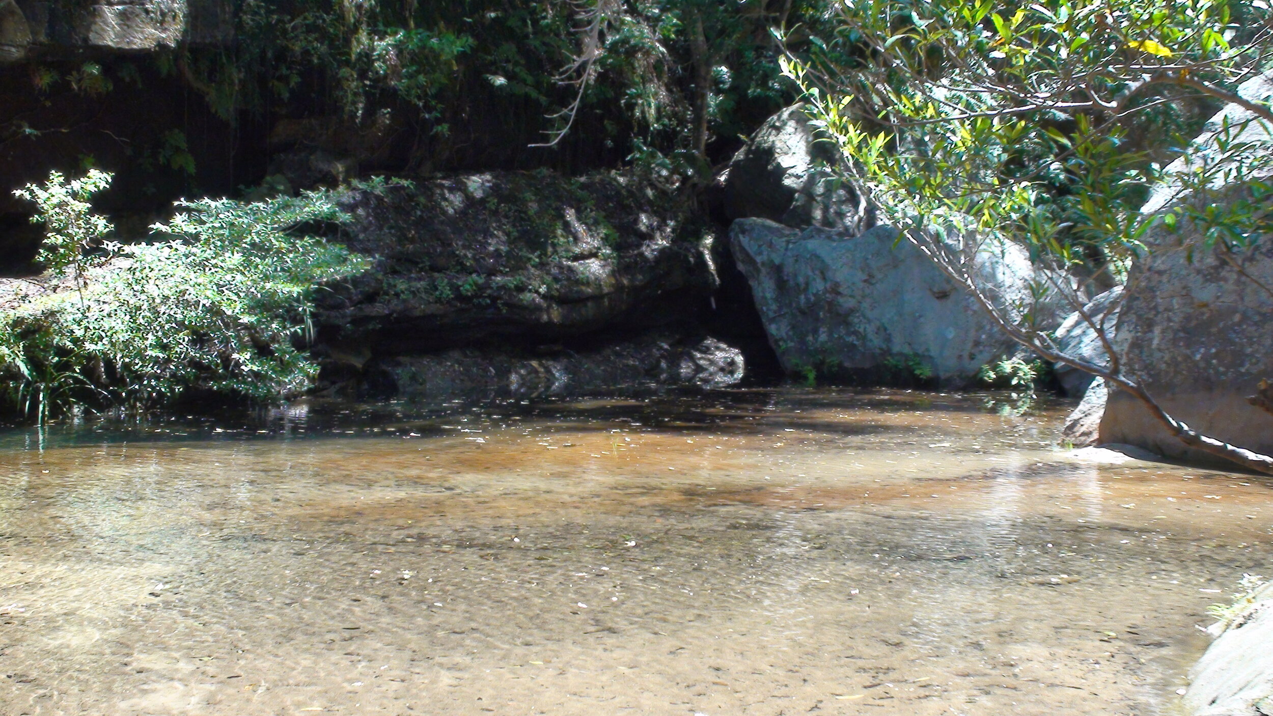 DSC01564.JPG