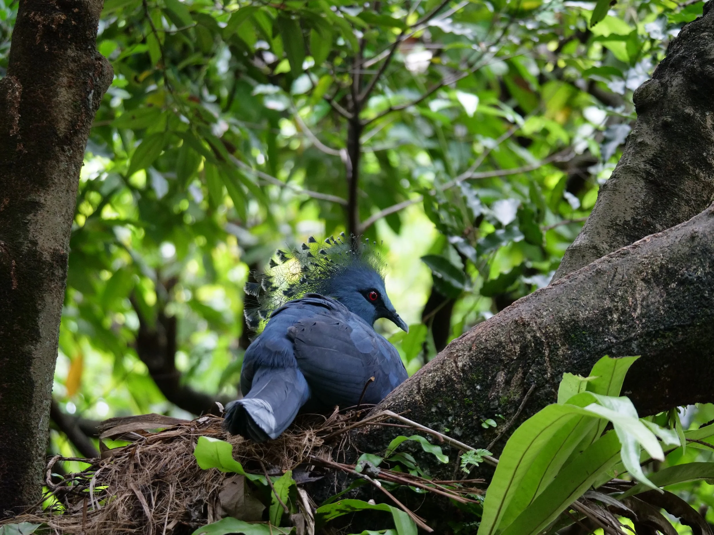 P1066256.JPG