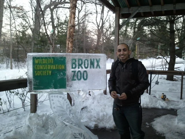 2010-12-29 16.33.35.jpg