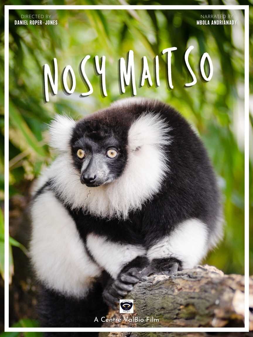 Nosy Maitso - med.jpg