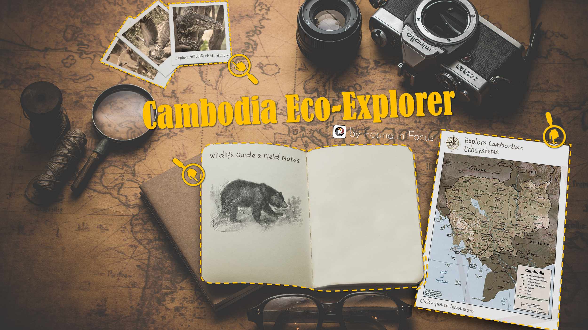 Cambodian Eco ExplorerThis app was designed to run on a large 4K tv screen, controlled by mouse. Visitors and students could select from a photo gallery, a collection of field notes and wildlife illustrations, and an interactive ecosystem map. Within each section is a plethora of information, pictures and videos to discover.