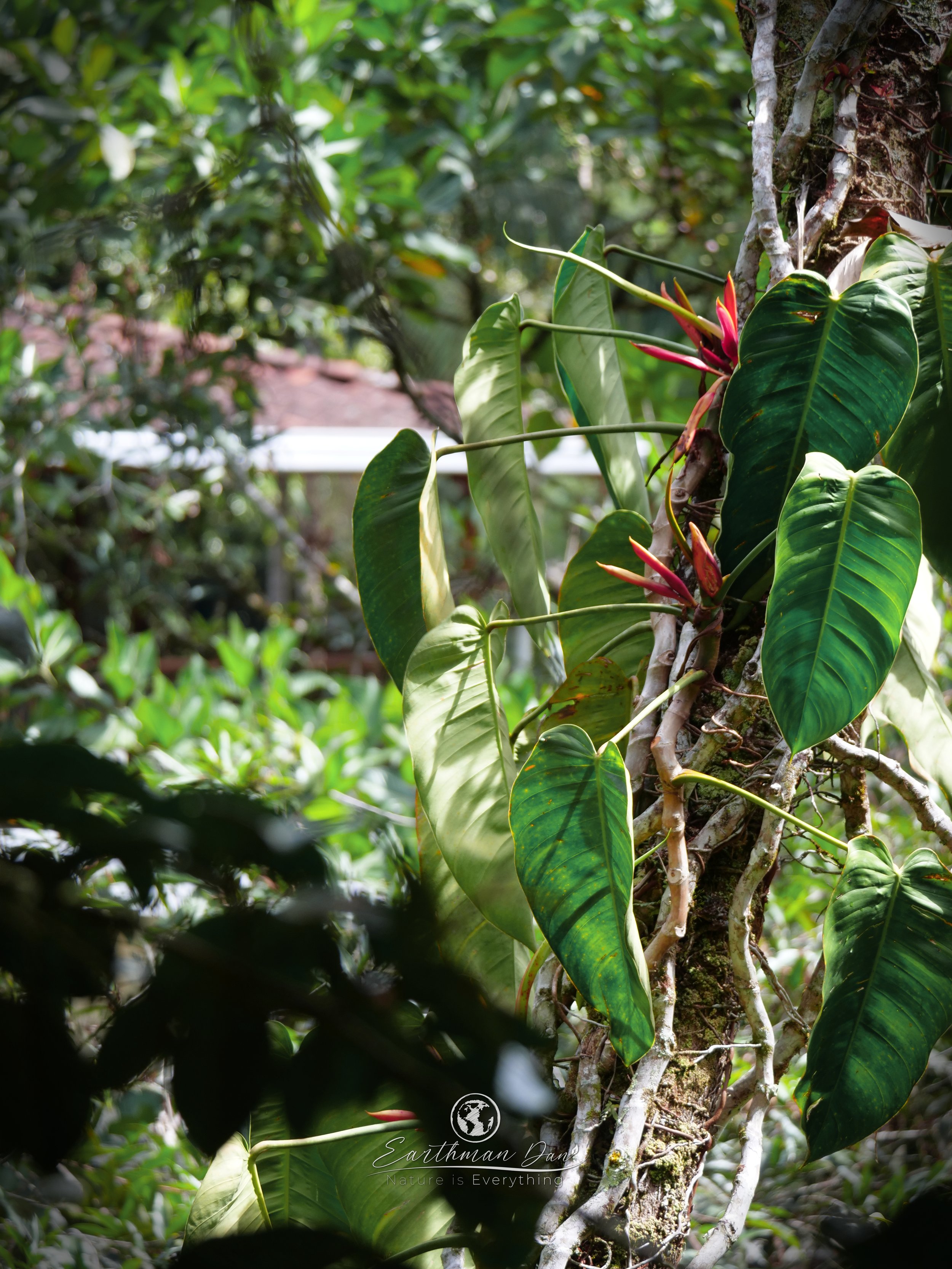 P1299329.jpg
