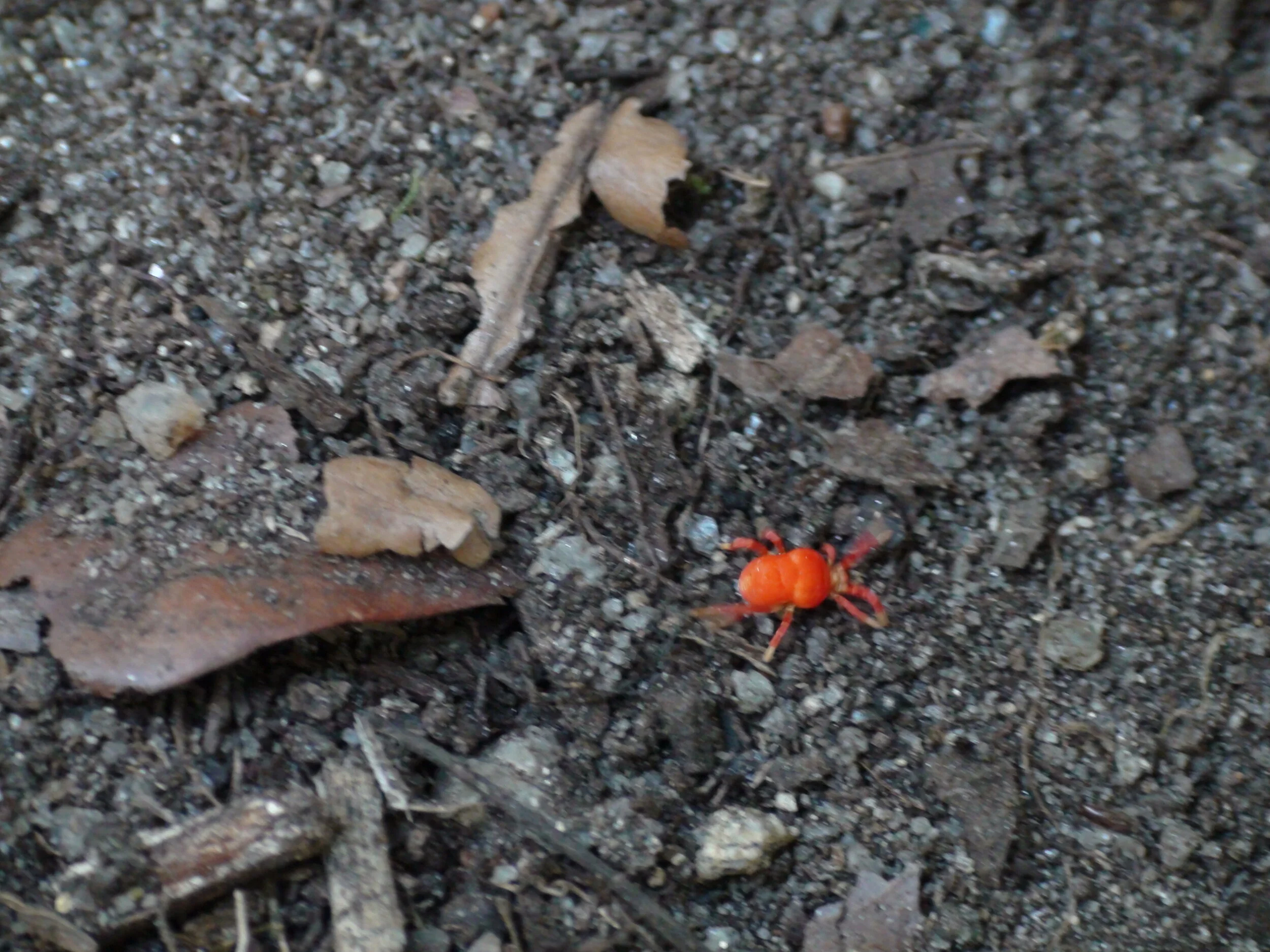 DSC01048.JPG