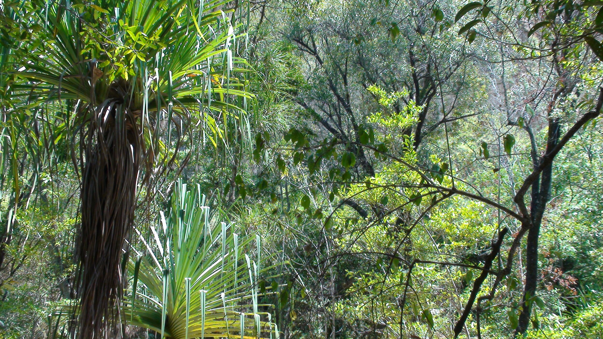 DSC01554.JPG