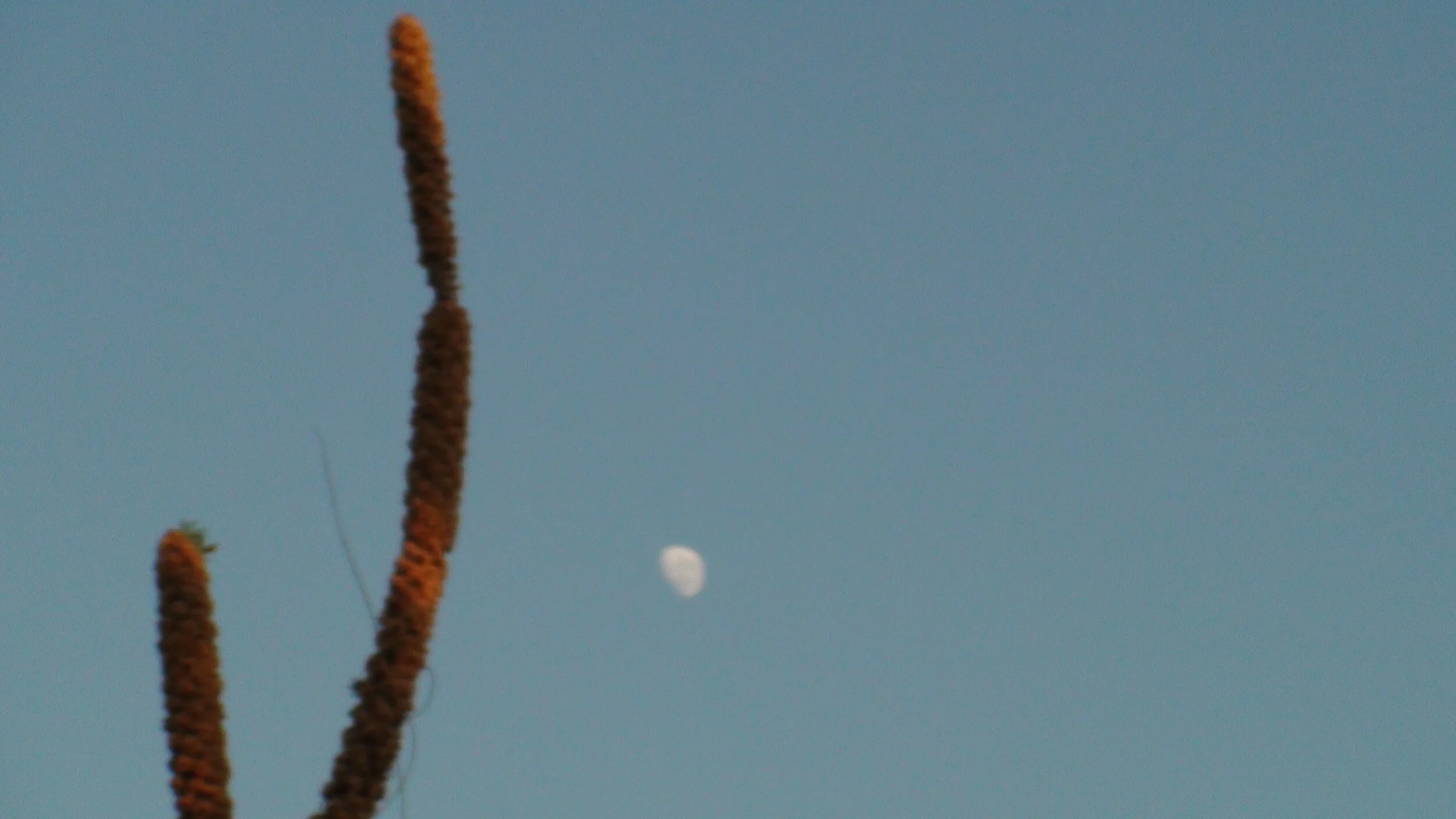 DSC01318.JPG