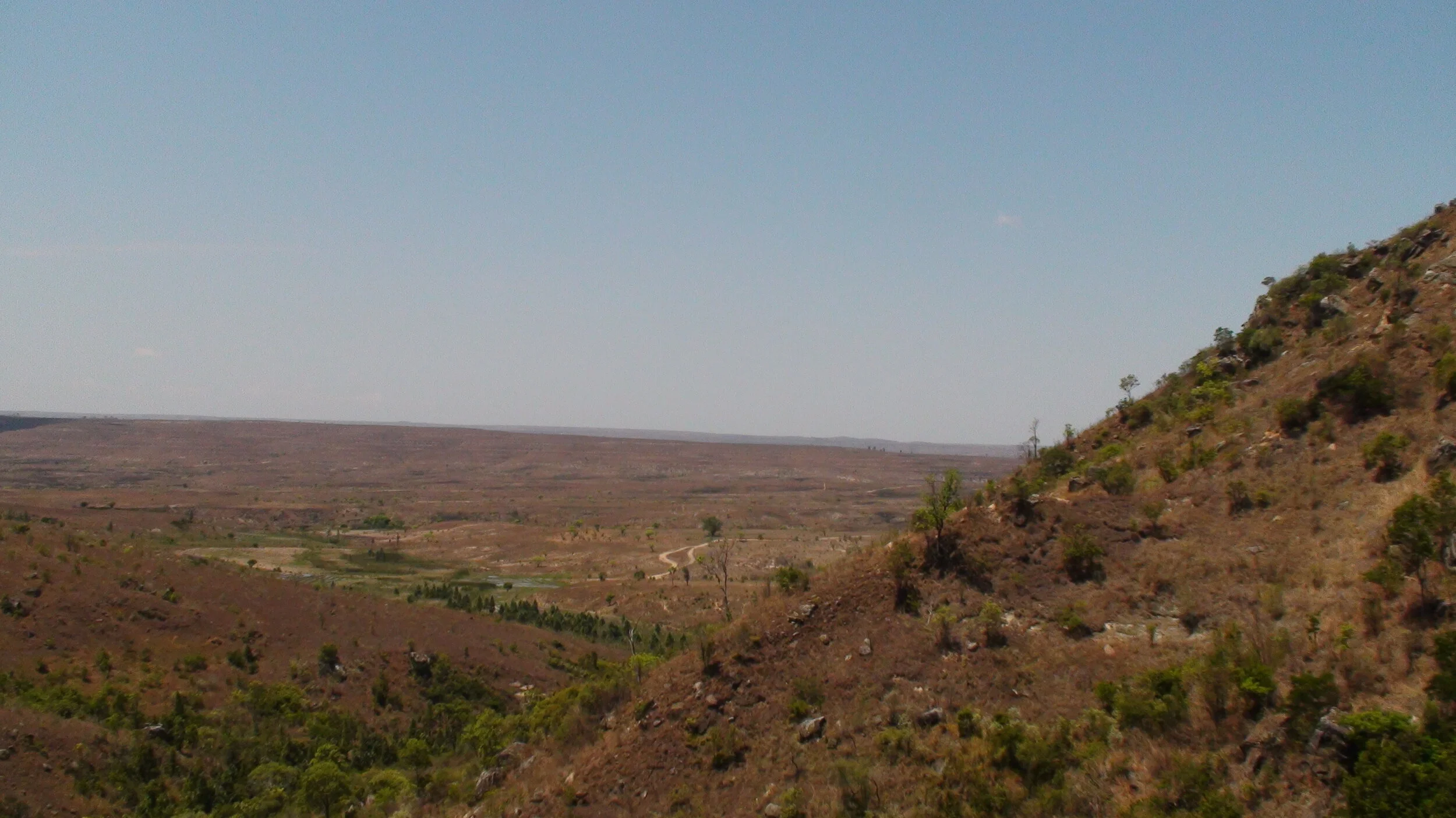 DSC01505.JPG