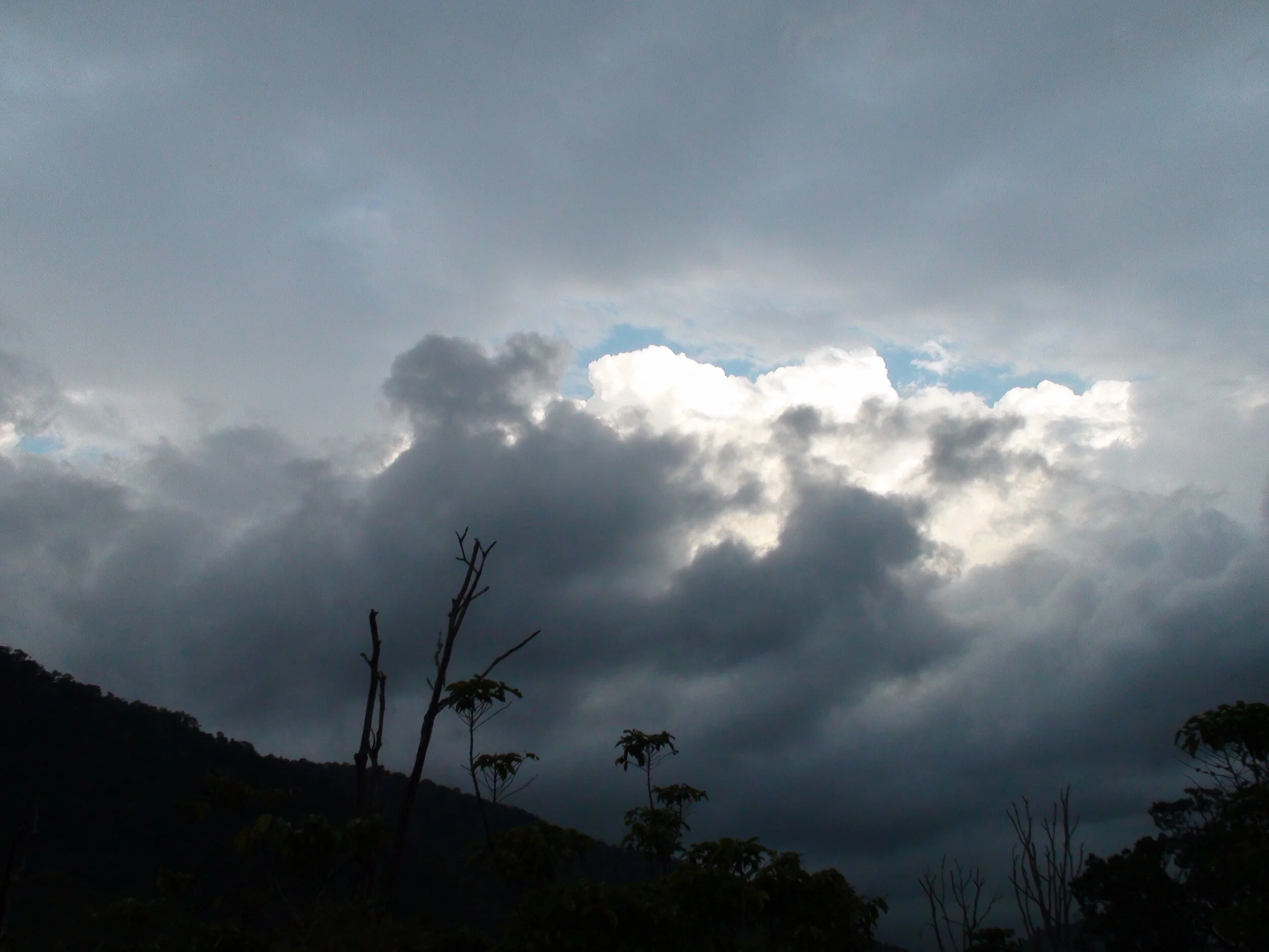 DSC01654.JPG