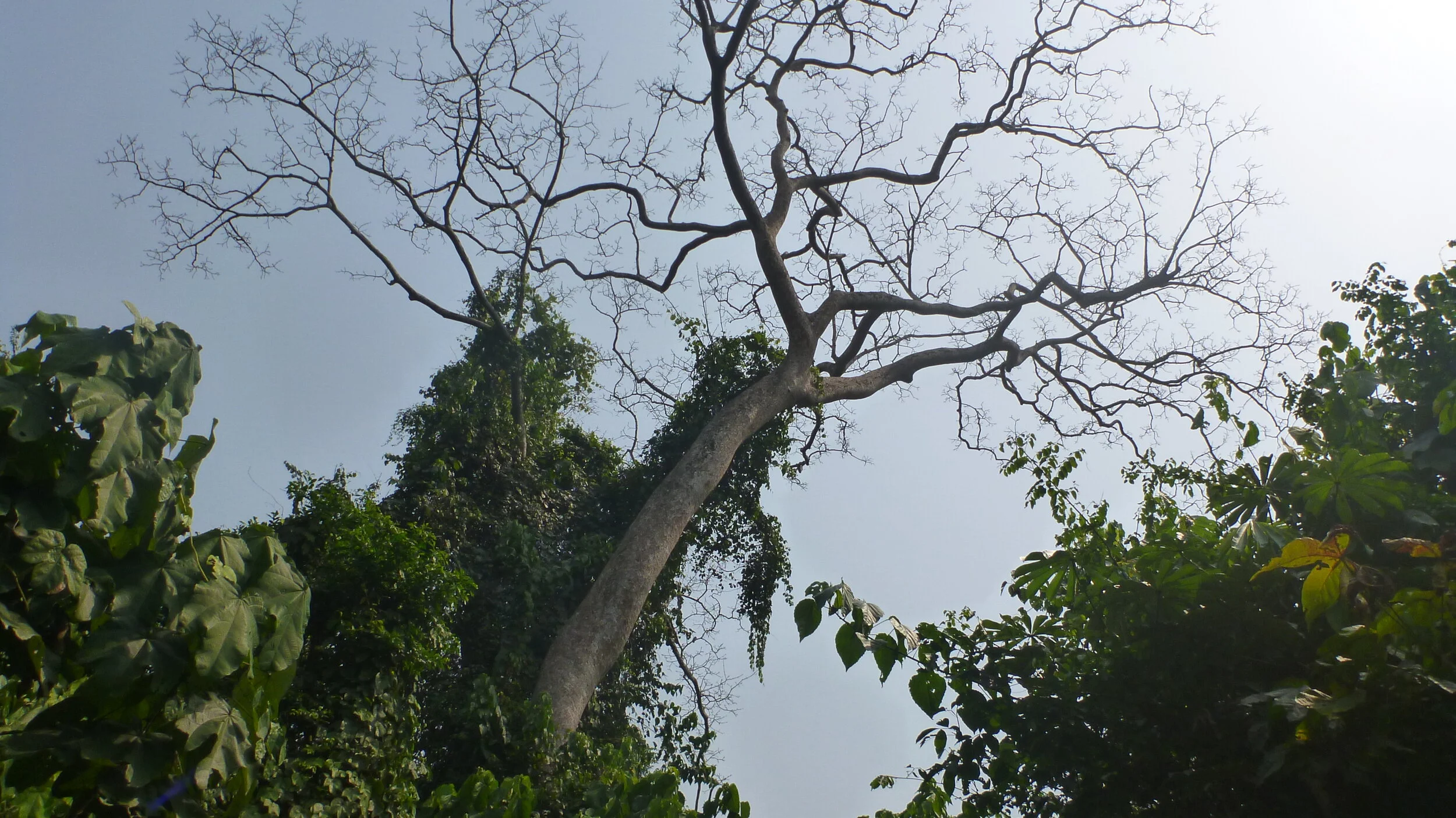 P1010632.JPG