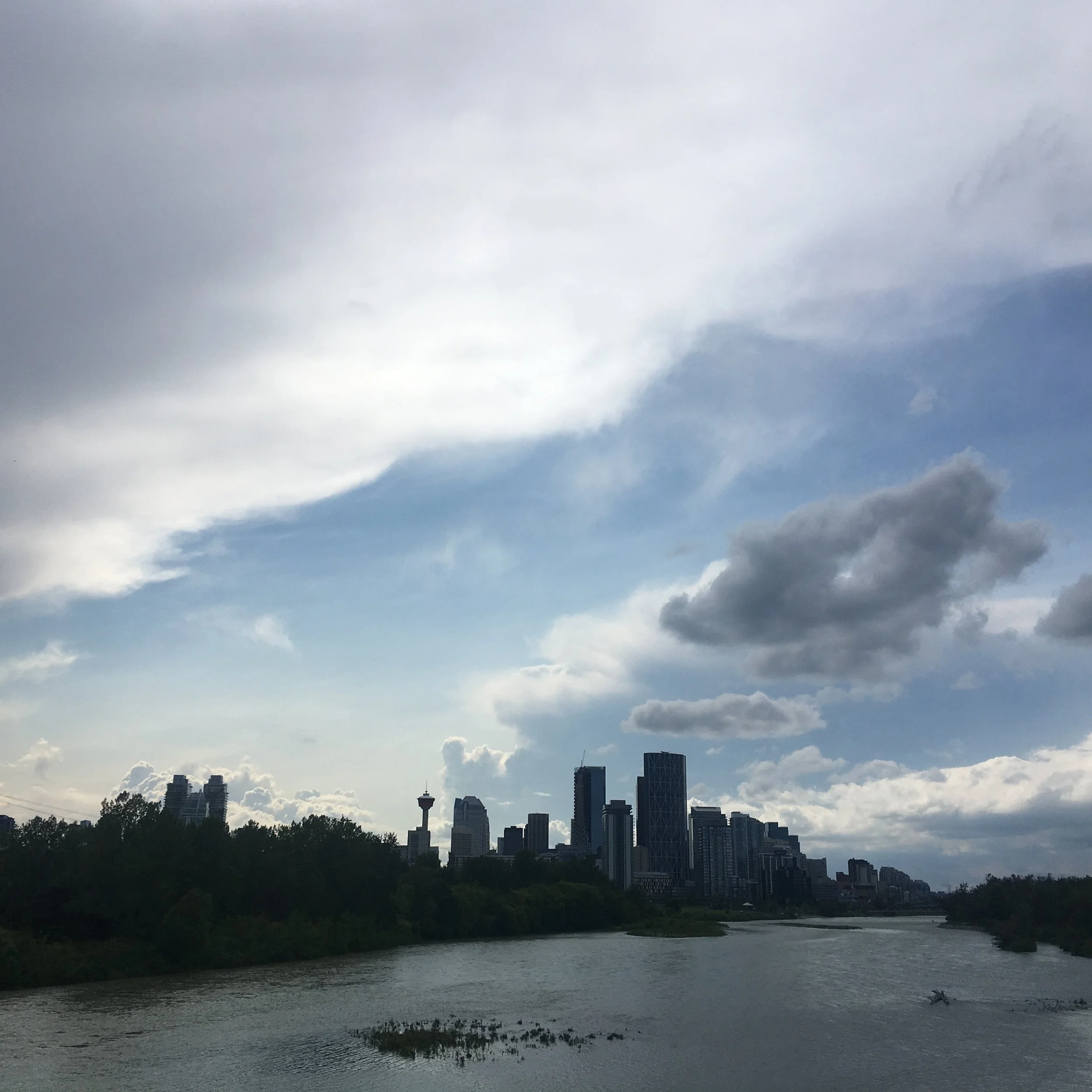 2019-D- - 538.JPG