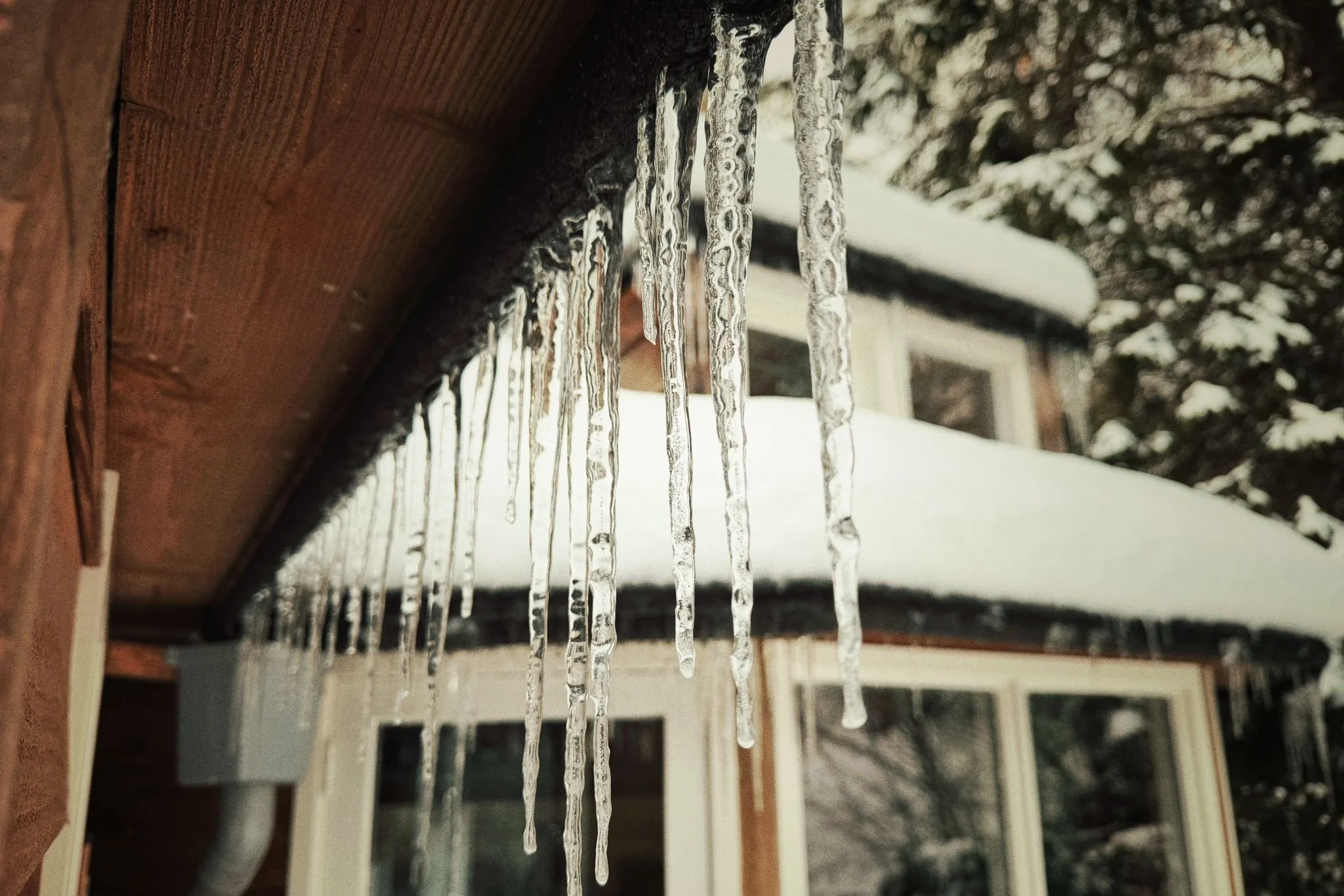 WhatsApp Image 2026-01-15 at 18.20.12 (2).jpeg