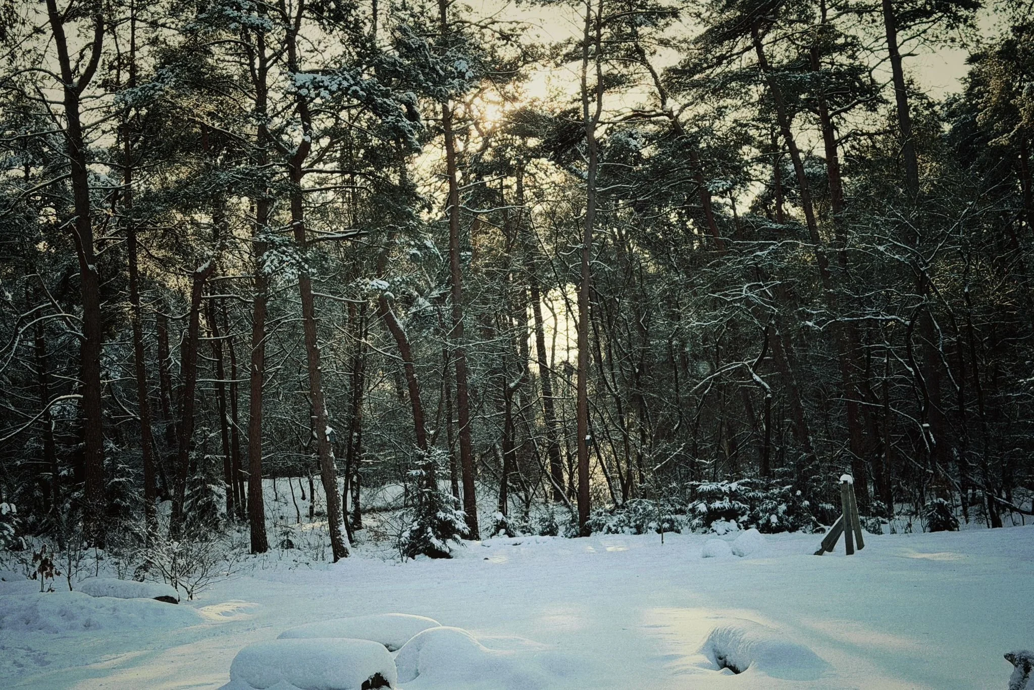 WhatsApp Image 2026-01-15 at 18.20.12 (6).jpeg