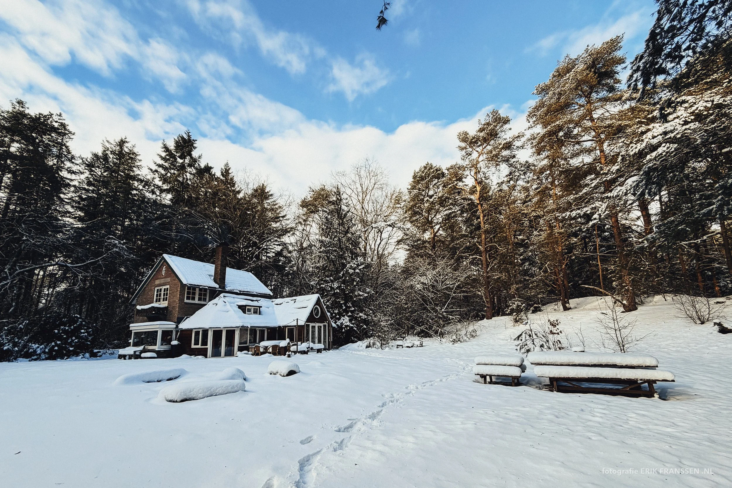 DE WITTE RAAF 2026 @ Erik Franssen-09.jpg