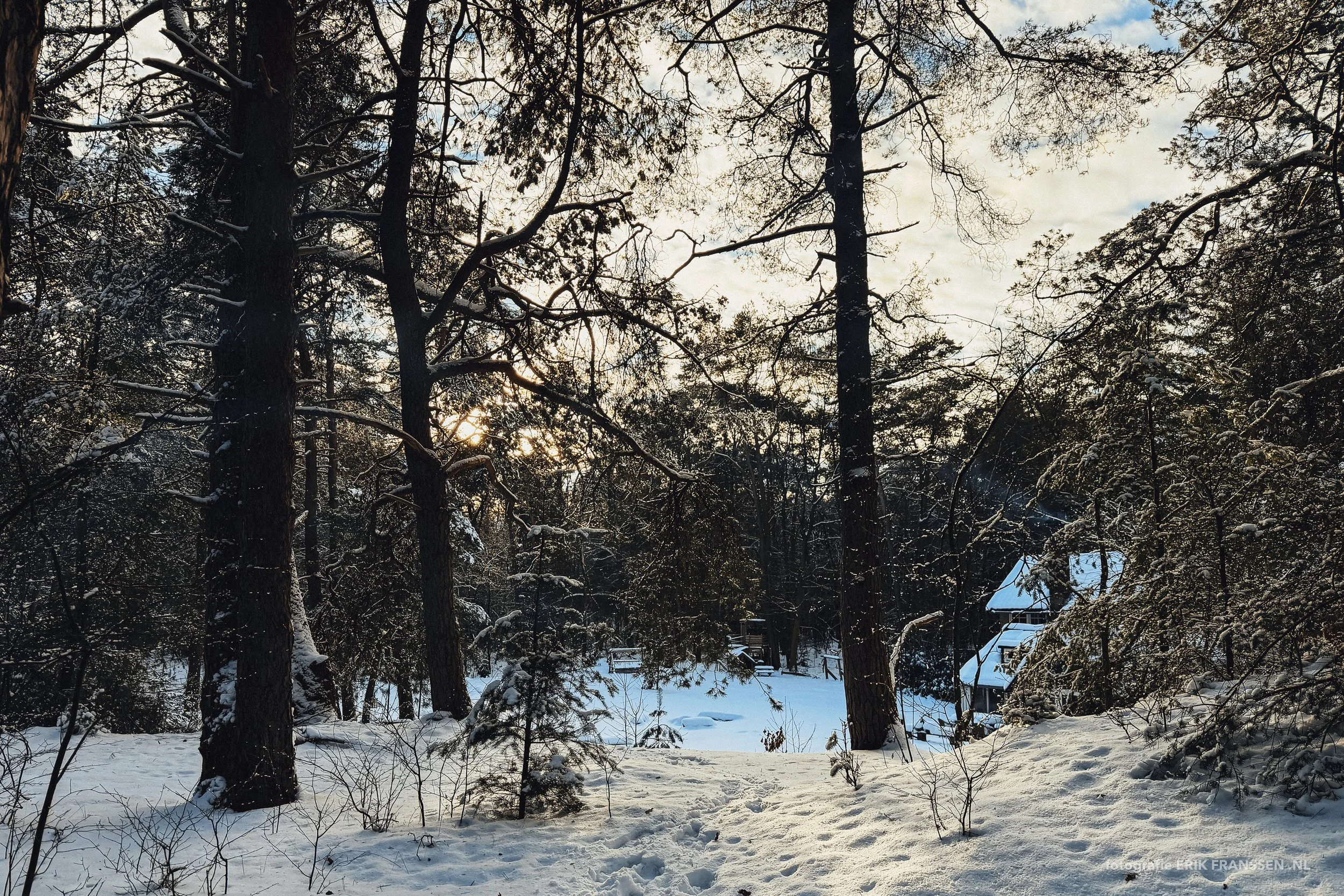 DE WITTE RAAF 2026 @ Erik Franssen-11.jpg