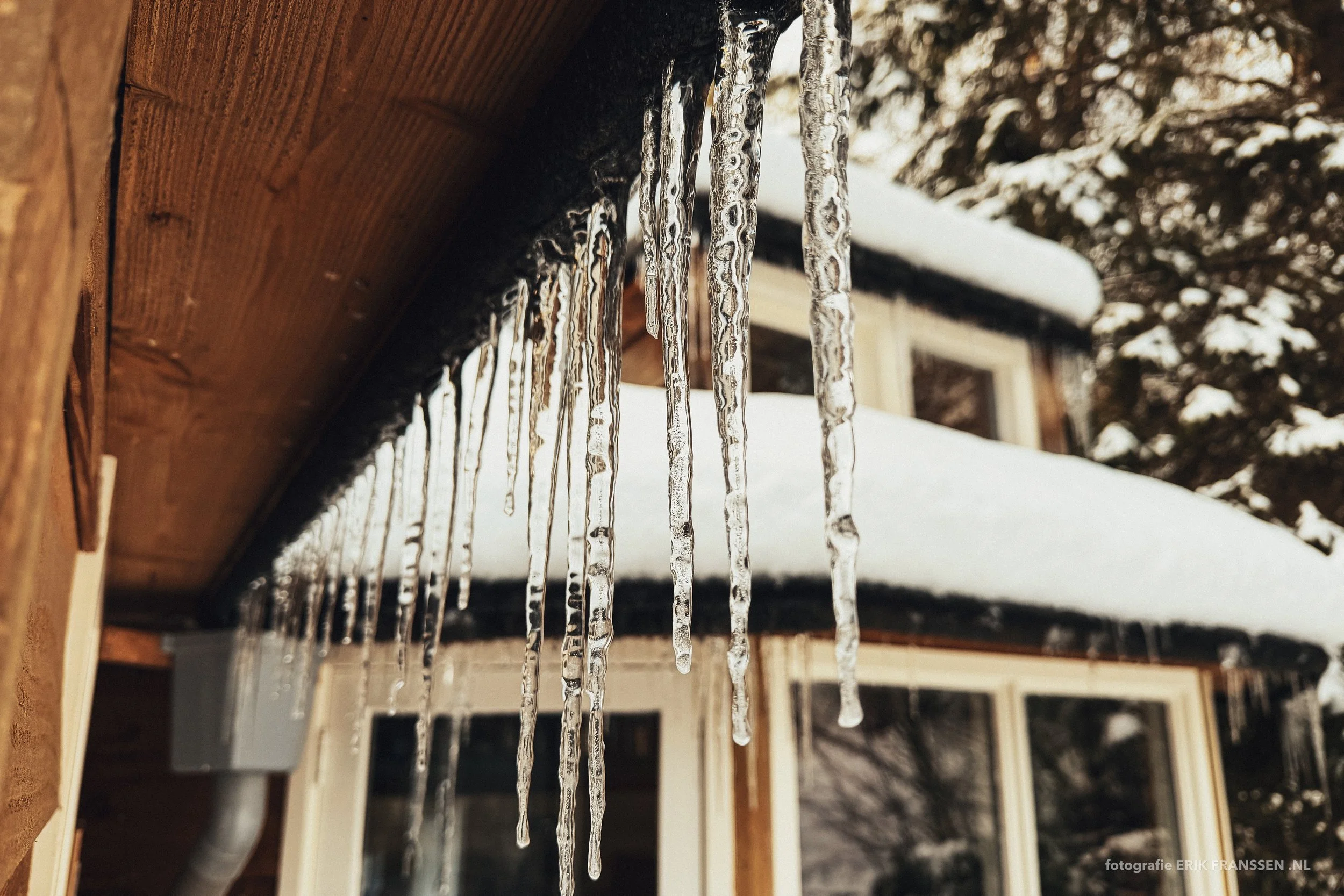 DE WITTE RAAF 2026 @ Erik Franssen-12.jpg