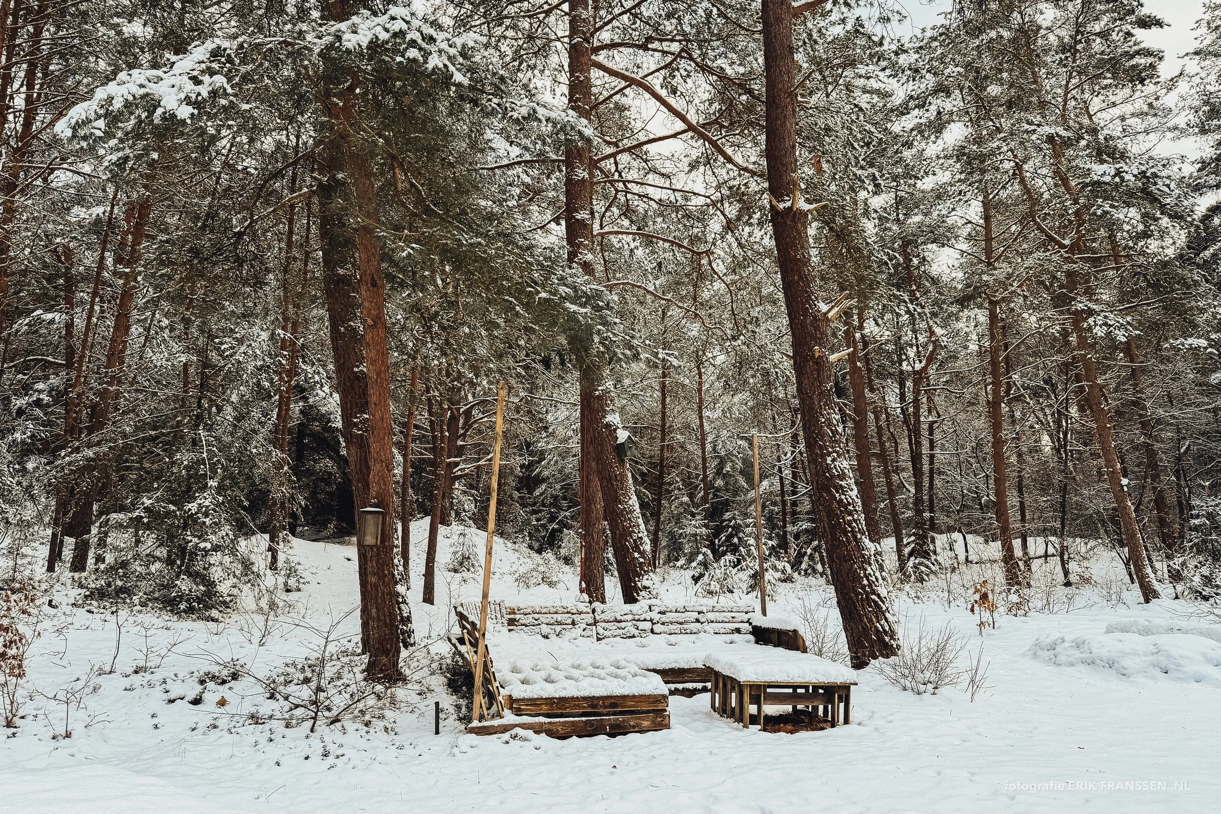 DE WITTE RAAF 2026 @ Erik Franssen-05.jpeg