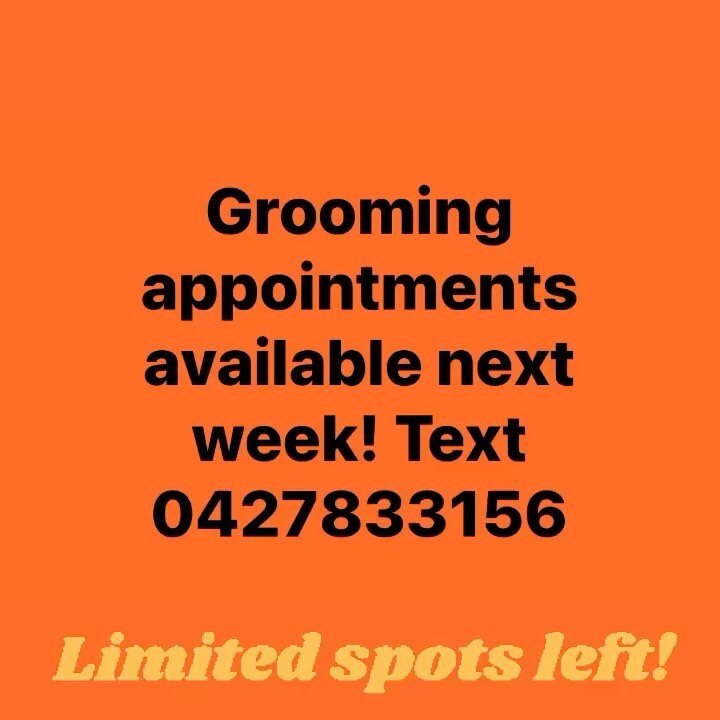 Dog Grooming Enquiry — Ruff Ruff Dog Grooming and Daycare