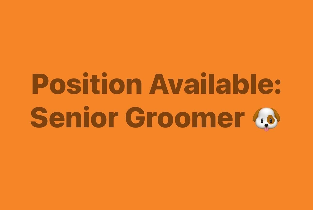 Position: Senior Dog Groomer. Are you looking to join a dynamic team that strives to be the best? We are located in Murarrie, Brisbane and open Monday to Friday - no weekends!  The right candidate will be competent in all breed cuts and have a defini