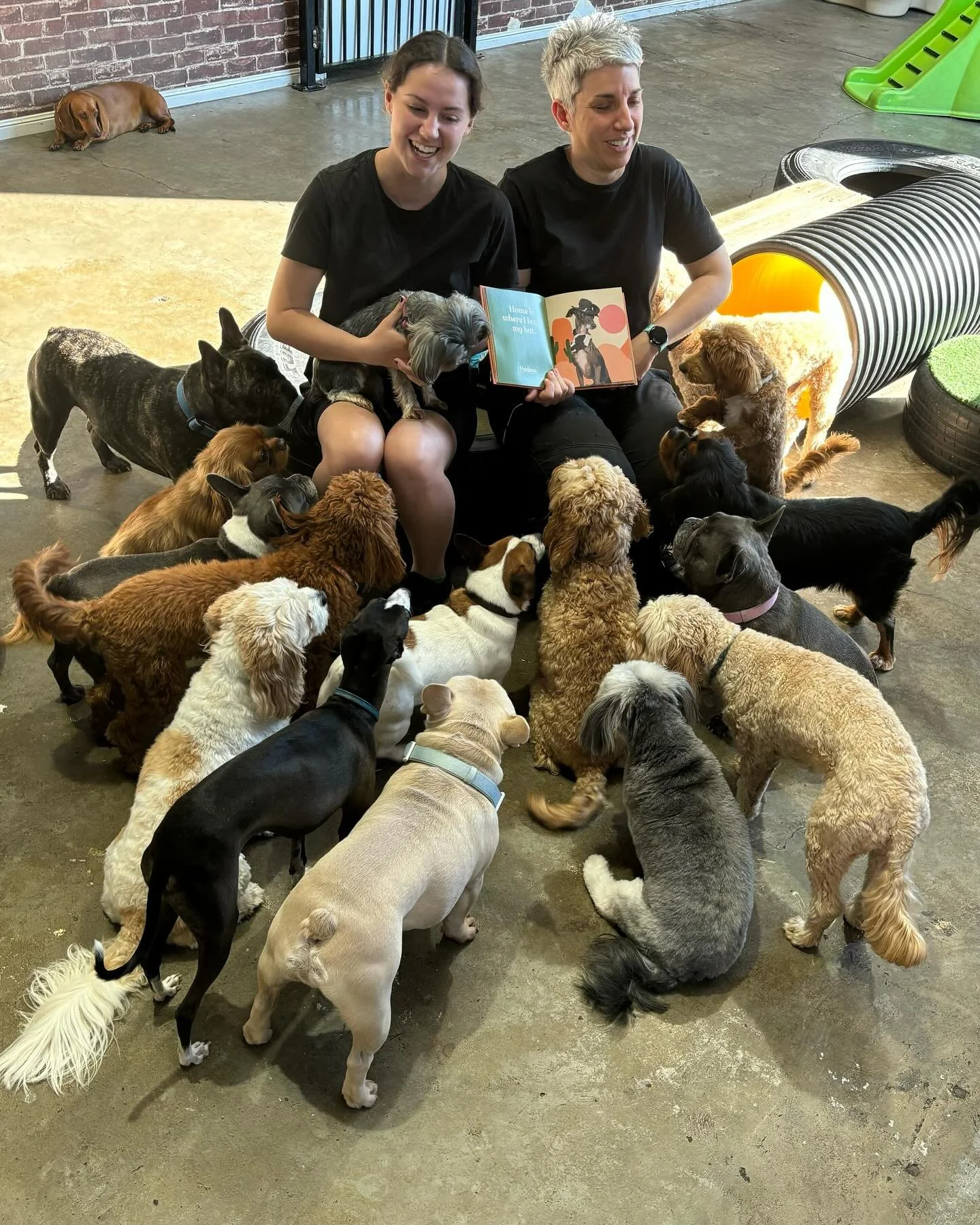 Doggy Daycare Enquiry — Ruff Ruff Dog Grooming and Daycare