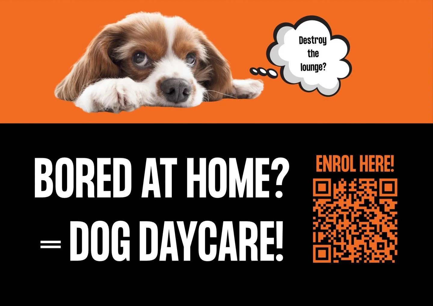 ruffruff.com.au. Considering doggy daycare?
Jump on our website to check out the T&amp;C&rsquo;s and complete our submission form. The cool pups come to @ruffruffdgdc