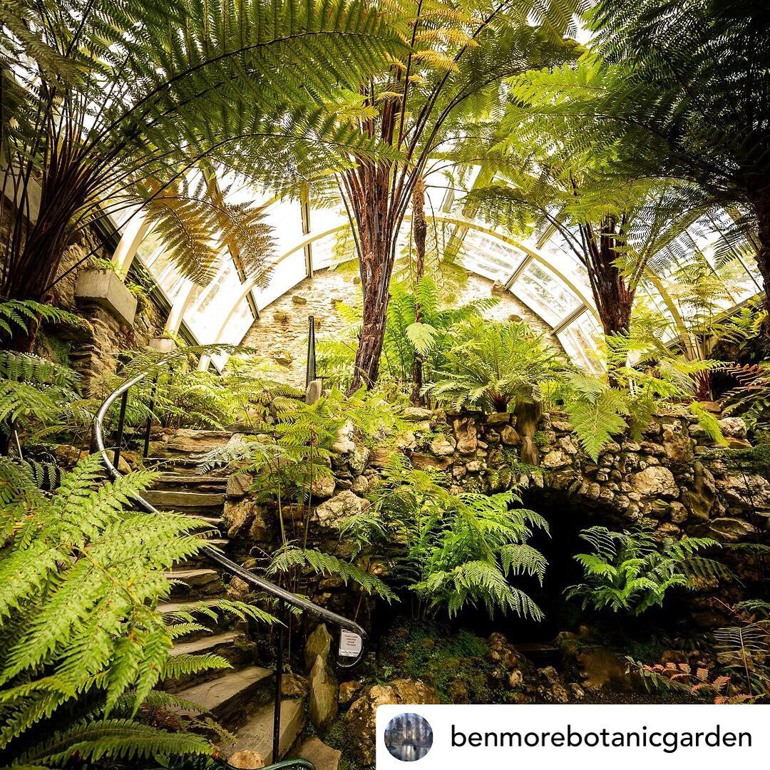 Fern Fever Friday!
 
The award-winning Victorian Fernery at Benmore Botanic Garden was restored to an amazingly high standard and opened in 2009. 

The beautiful Victorian structure can be found settled amongst a rocky part of the garden and gives th